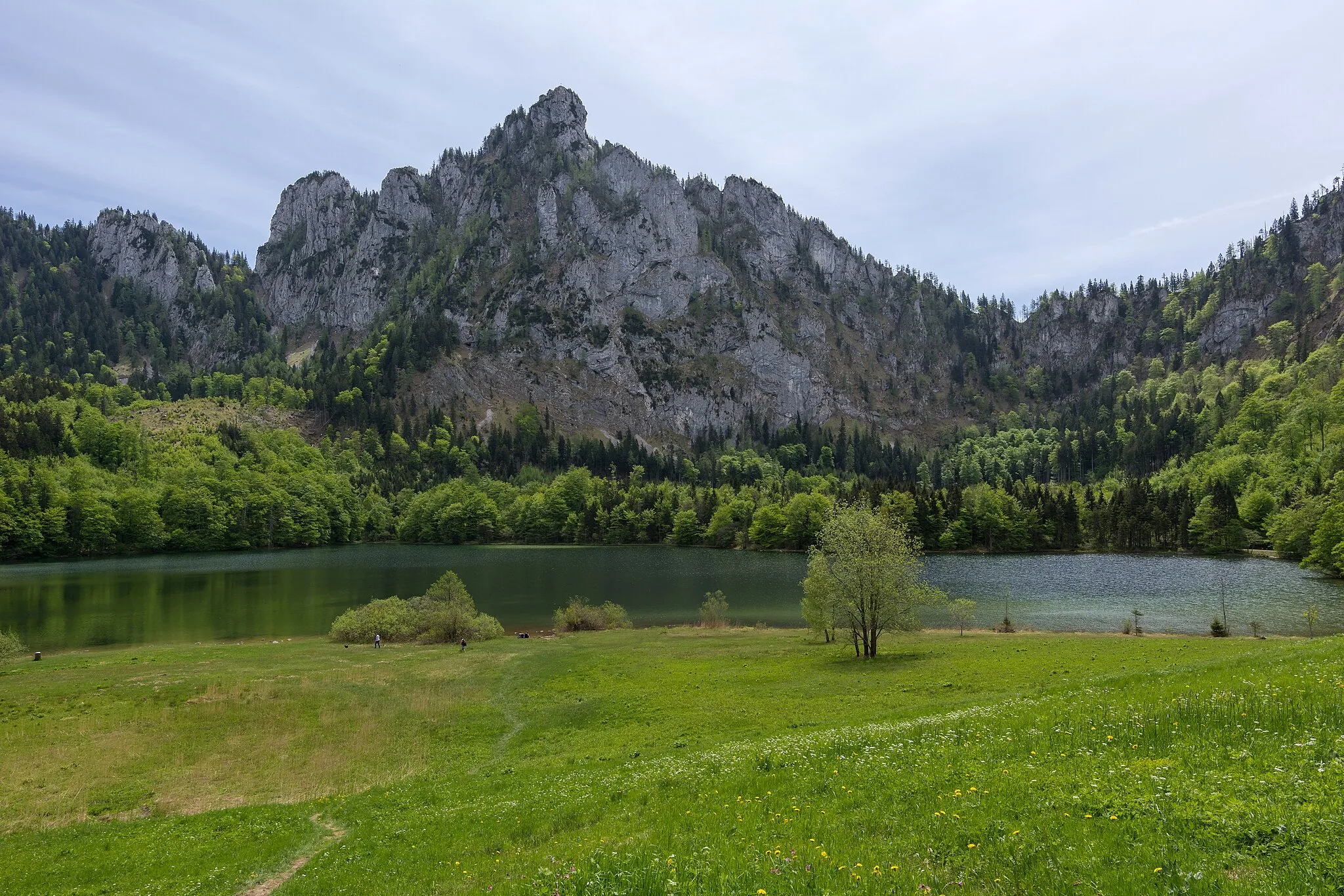 Photo showing: This media shows the nature reserve in Upper Austria  with the ID n148.