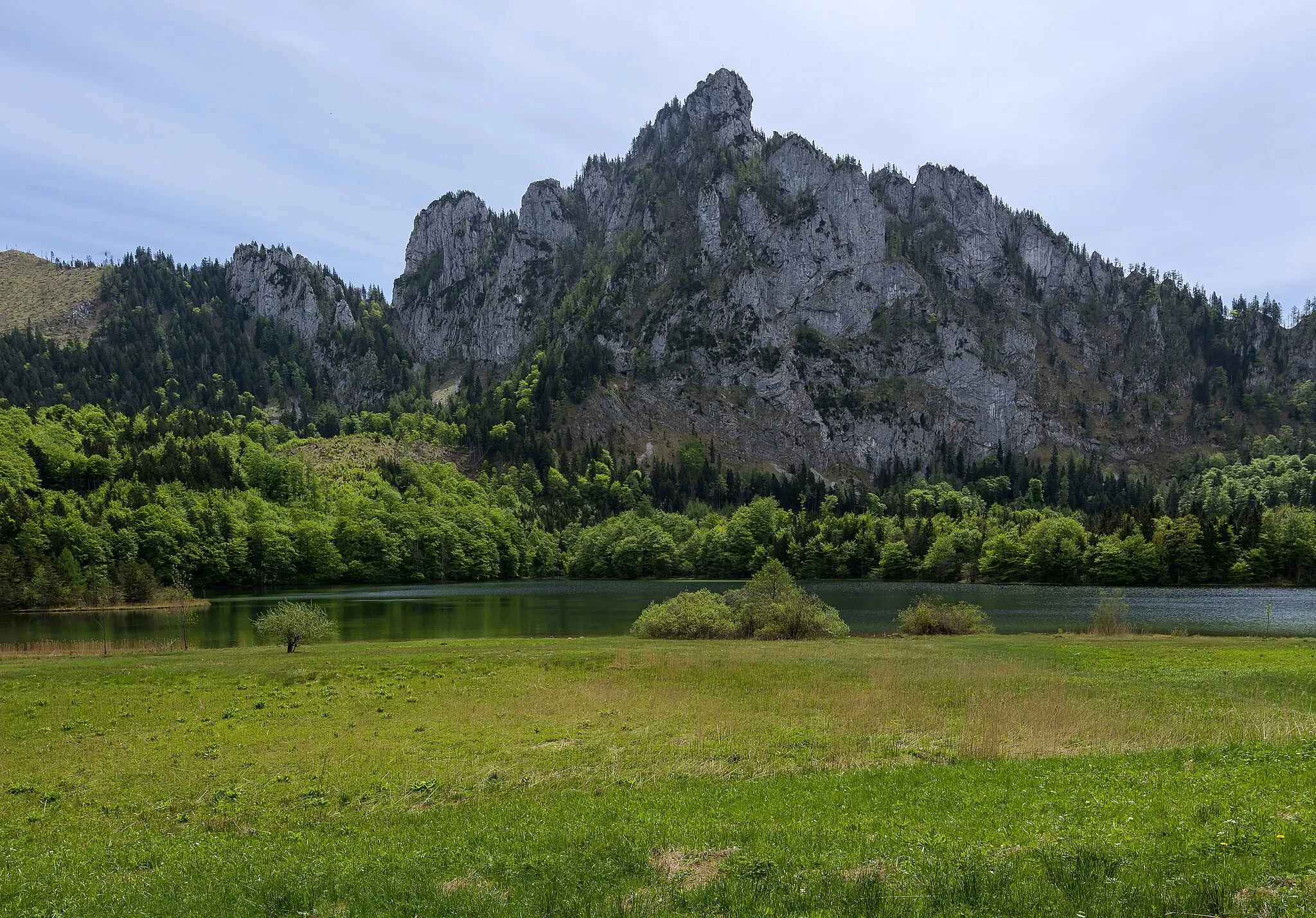 Photo showing: This media shows the nature reserve in Upper Austria  with the ID n095.