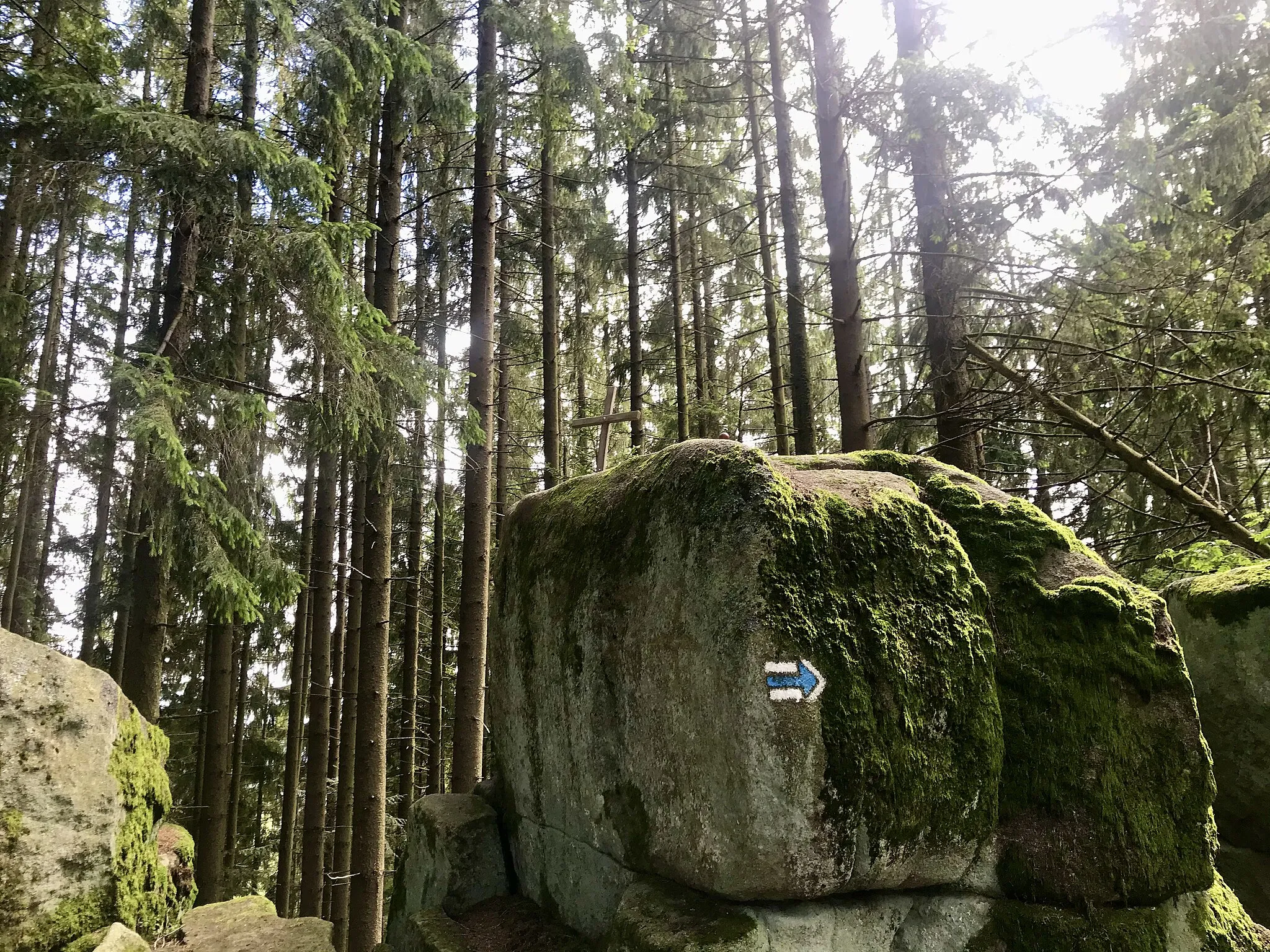 Photo showing: Top of the Kleč mountain (933 meters above sea) – Czech mountain in Šumava National Park