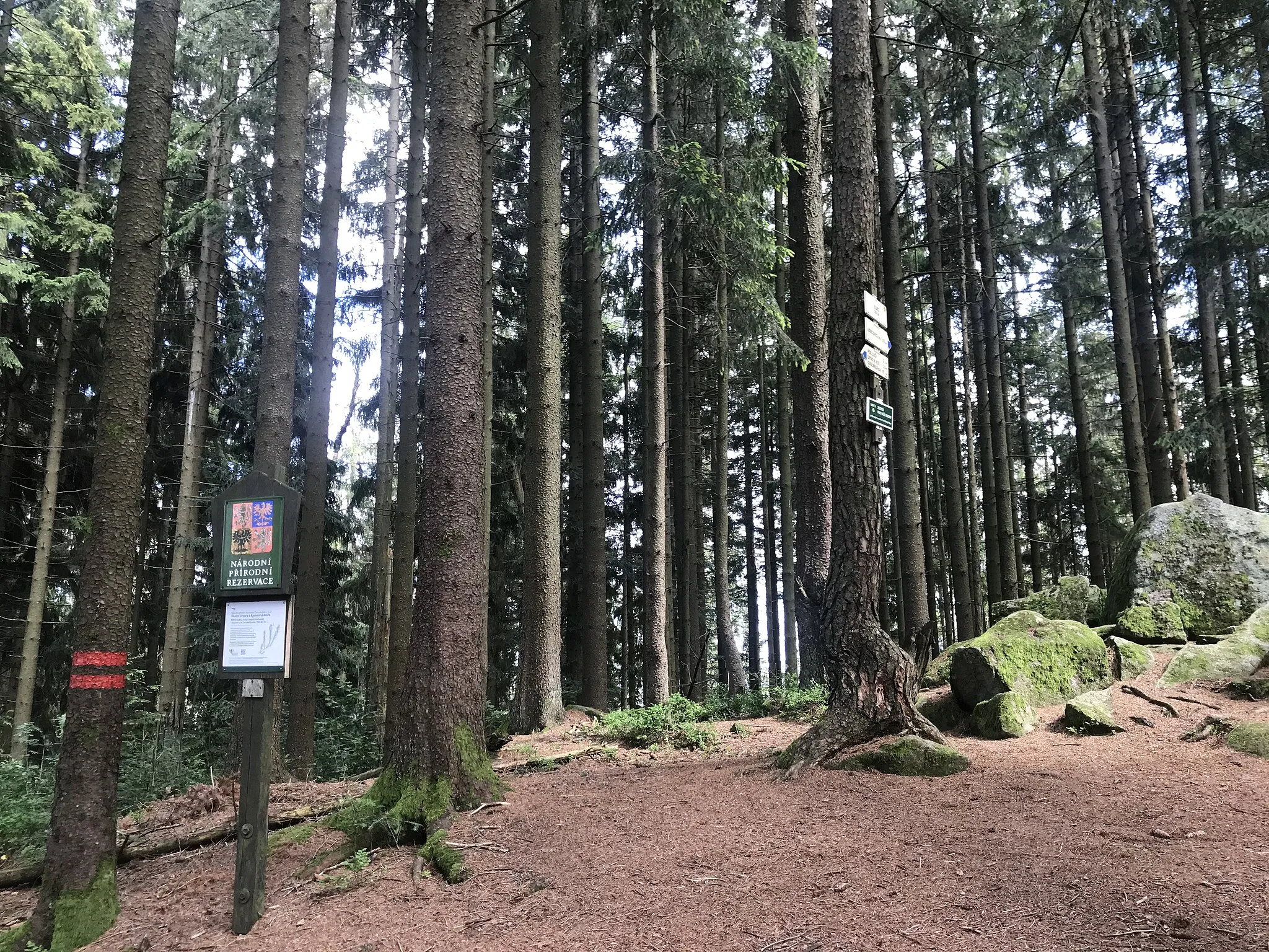 Photo showing: Signpost on the top of Luč – Czech mountain in Šumava National Park