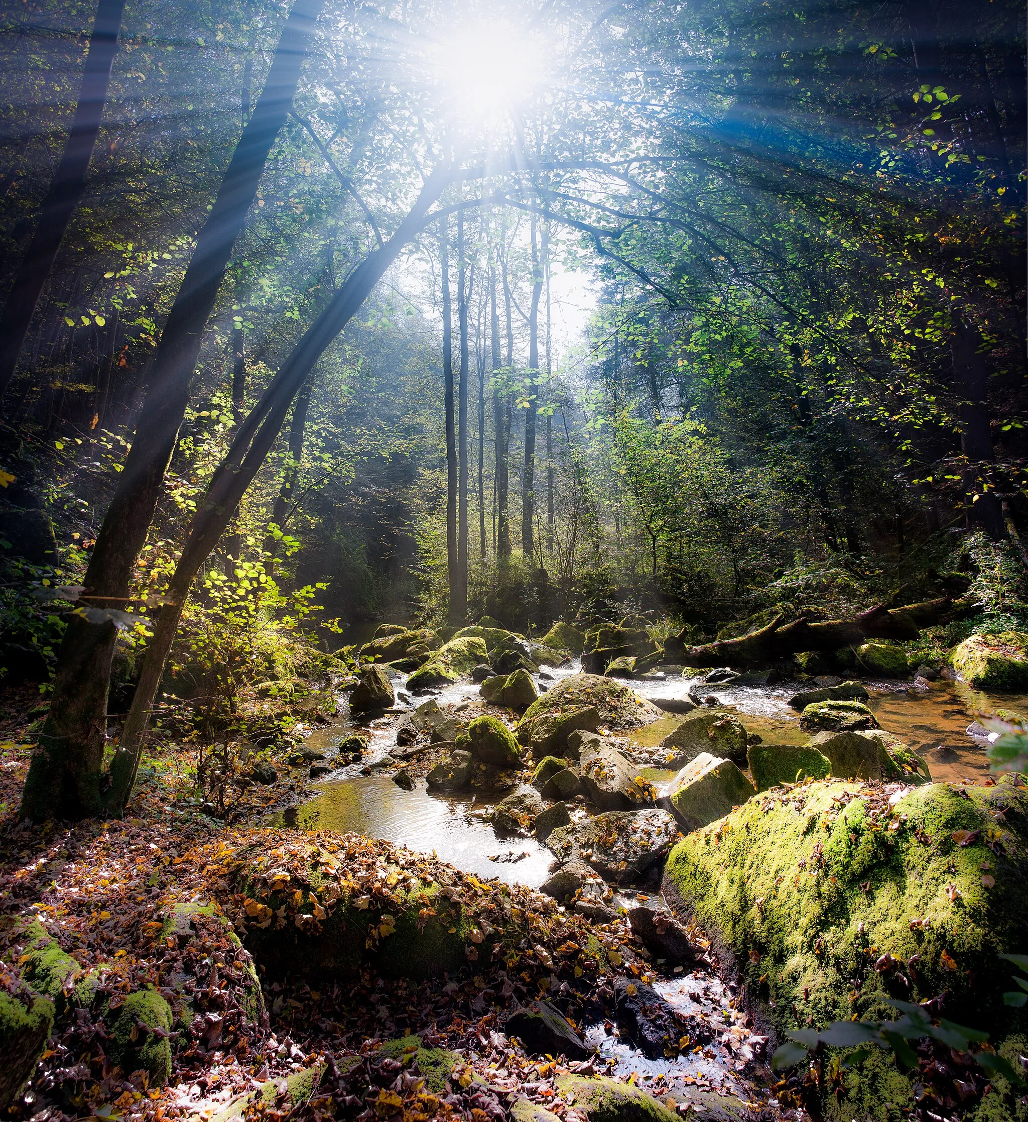 Photo showing: This media shows the nature reserve in Upper Austria  with the ID n022.