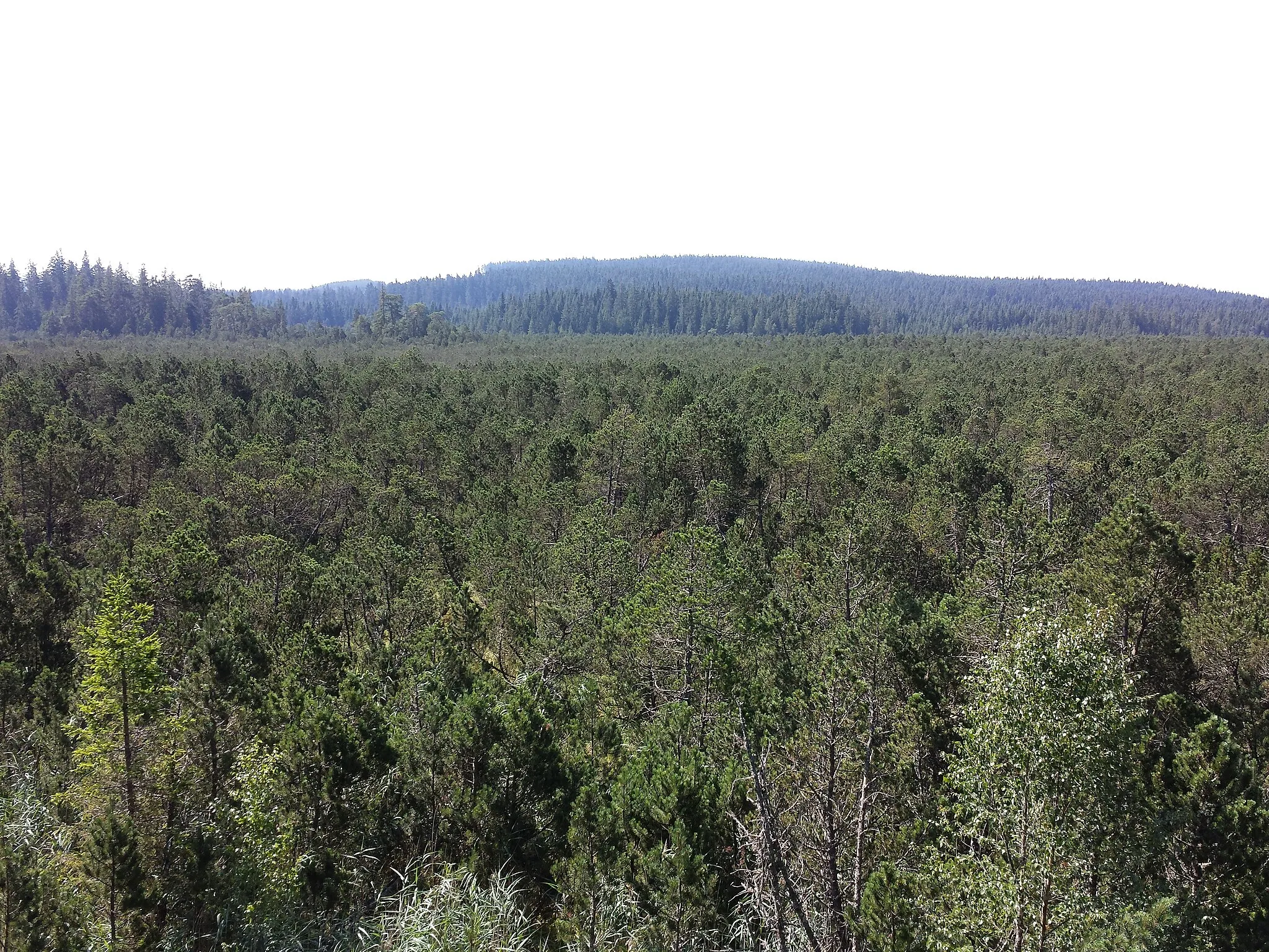 Photo showing: This media shows the nature reserve in Lower Austria  with the ID 33.