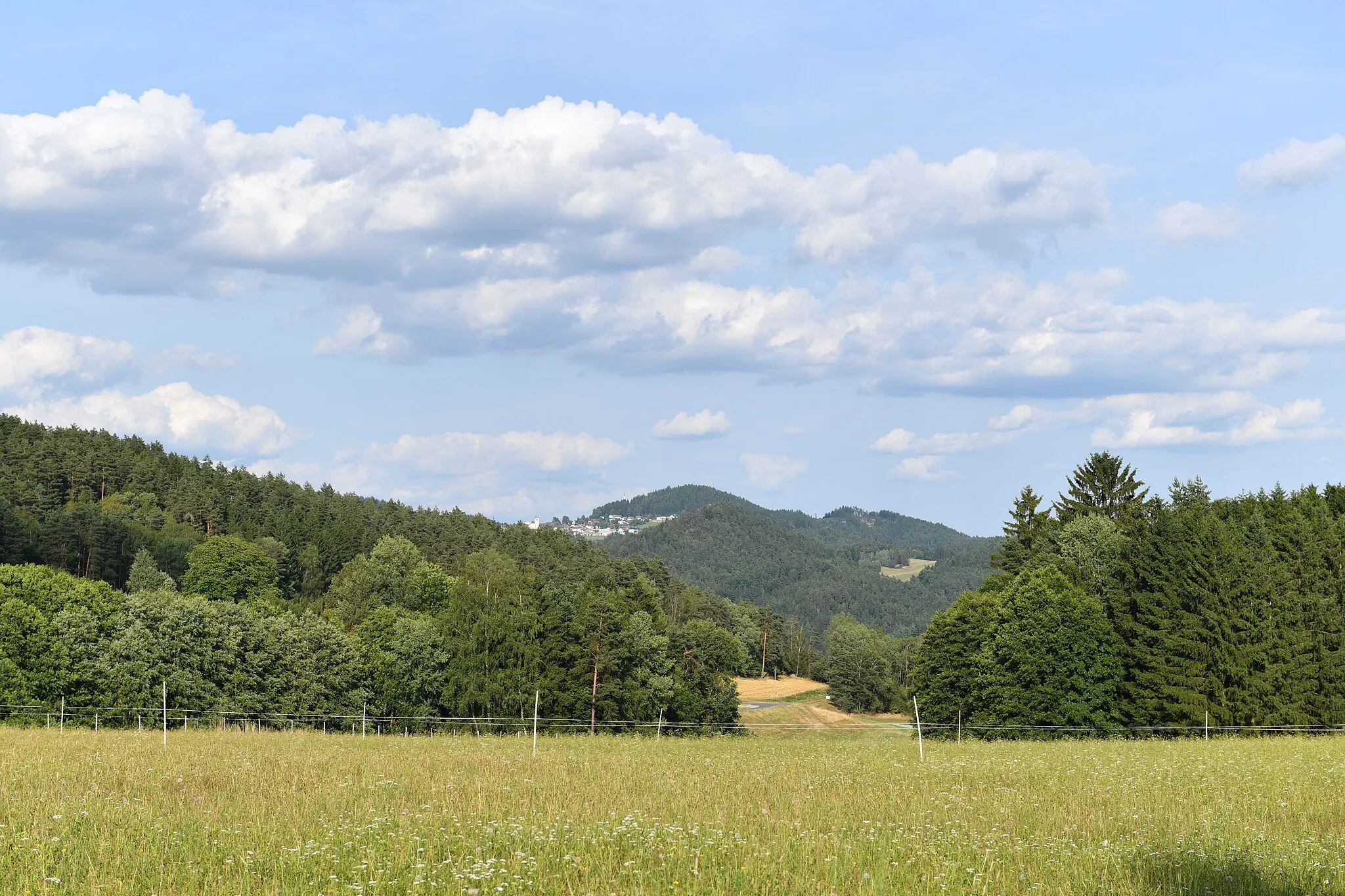 Photo showing: Gutau, 22. Juli 2023: Erdmannsdorf, Blick nach St. Leonhard bei Freistadt