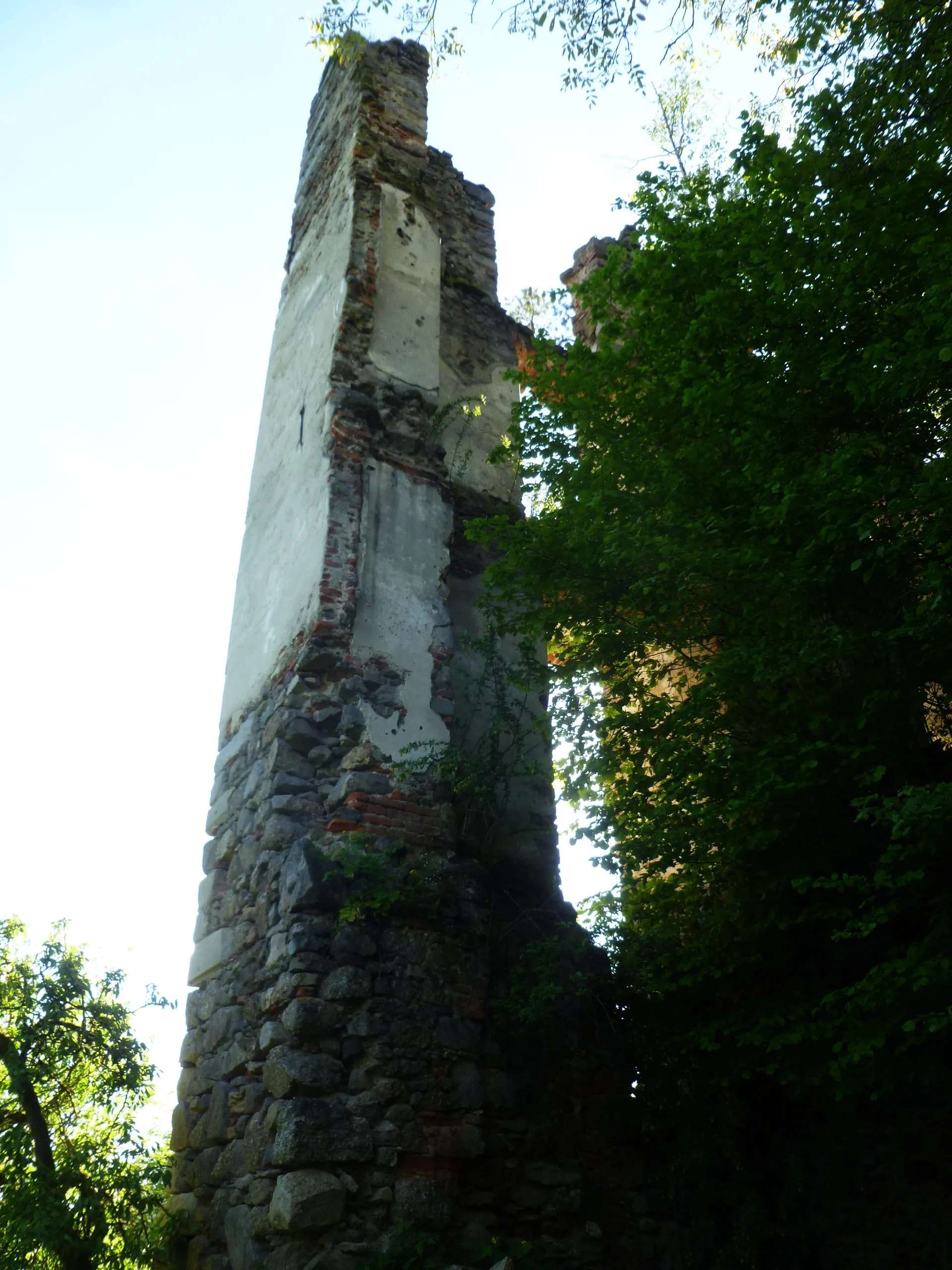 Photo showing: Burgruine Rottenegg