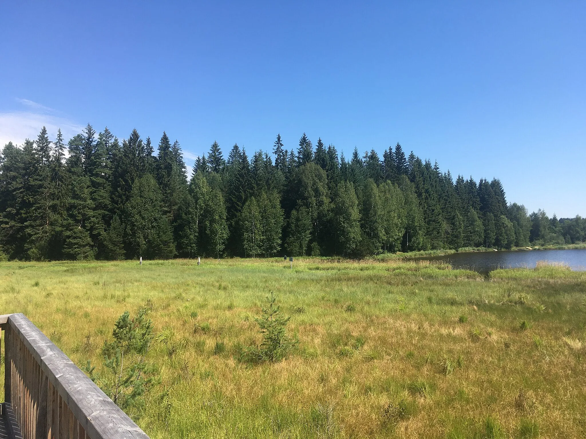 Photo showing: Naturerlebnisweg Bayrische Au - Blick von der Aussichtsplattform