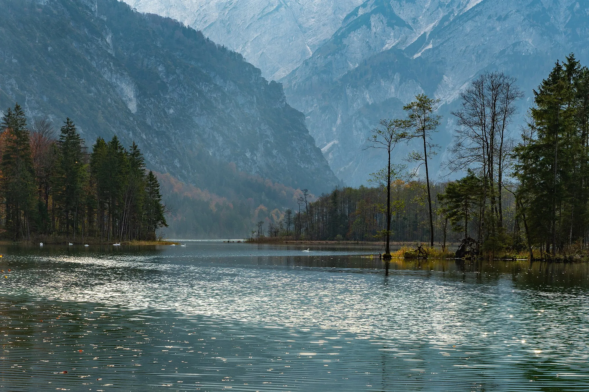 Photo showing: View on Almsee (Upper Austria) from north bay to the south. The lake is a protected landscape of Upper Austria.
