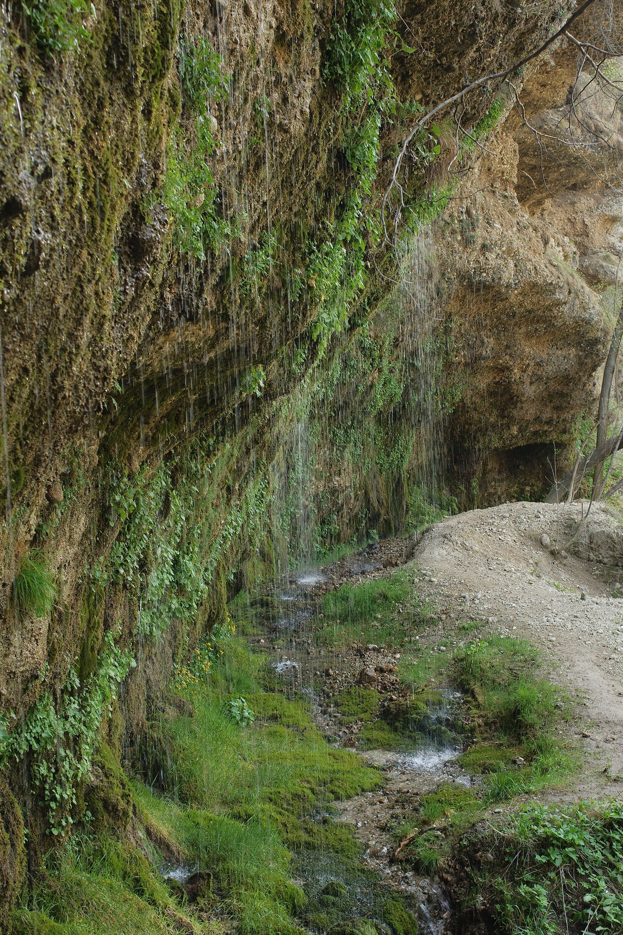 Photo showing: This media shows the natural monument in Upper Austria with the ID nd567 (Rinnende Mauer in Molln).