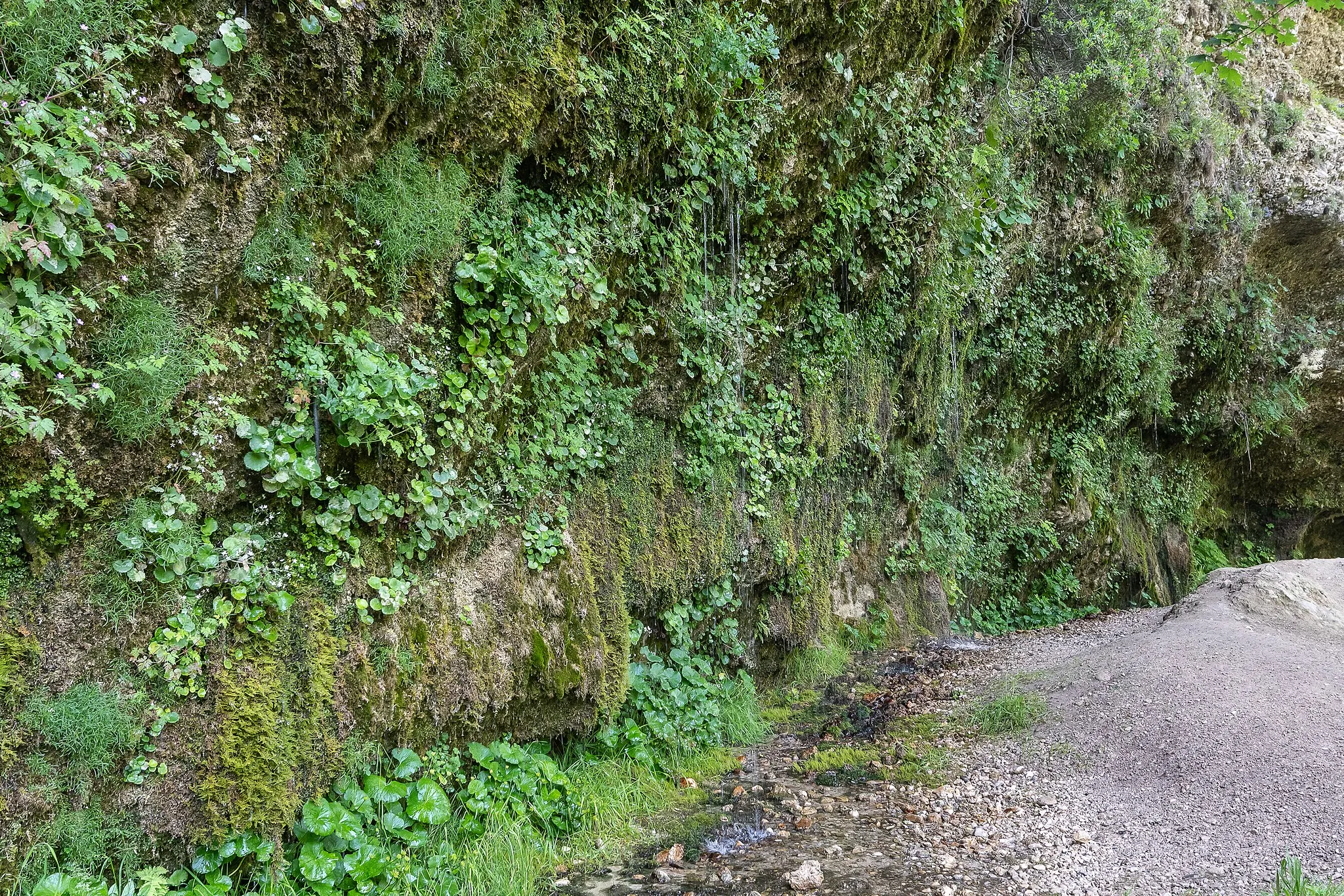 Photo showing: This media shows the natural monument in Upper Austria  with the ID nd567.