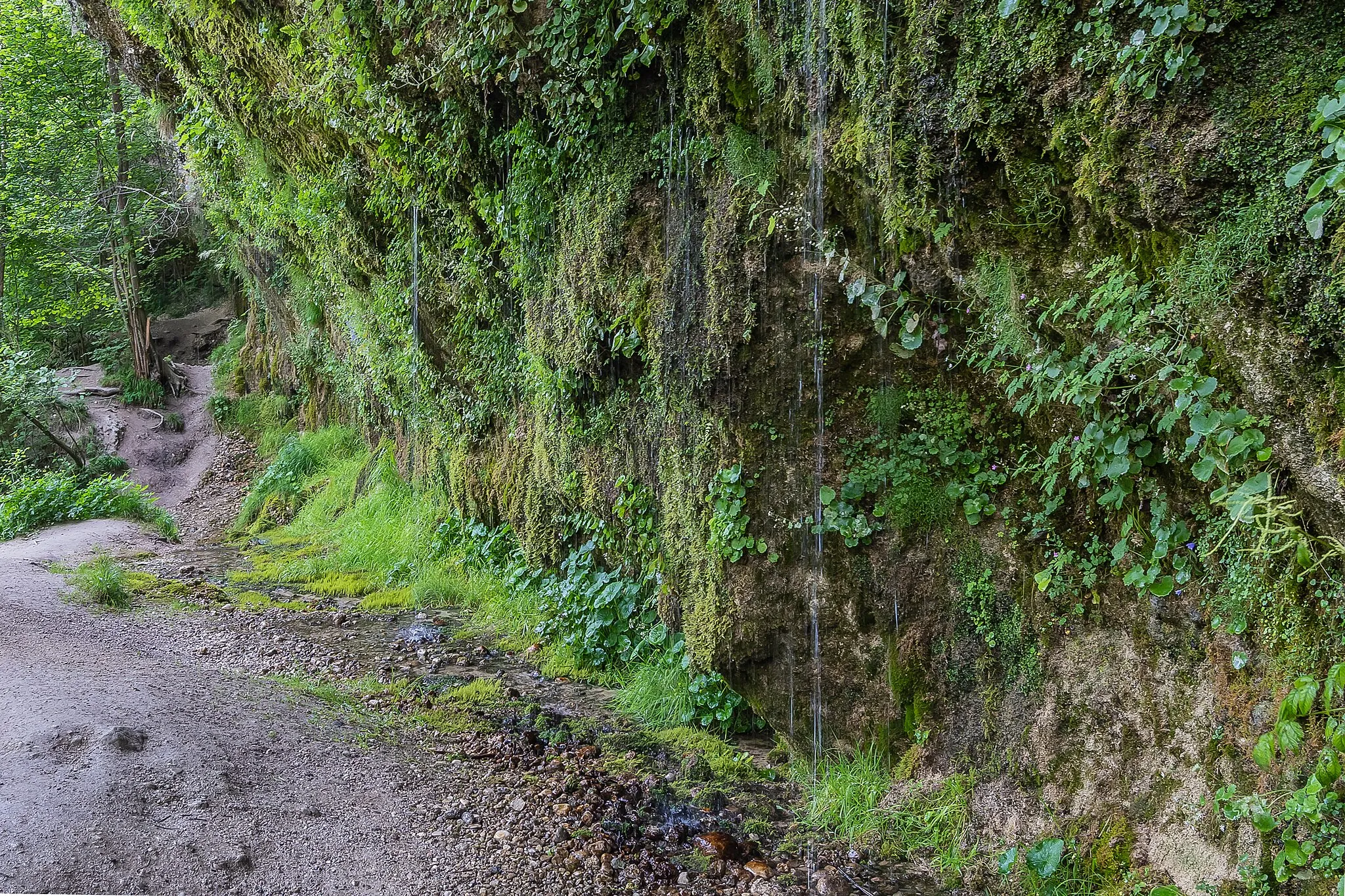 Photo showing: This media shows the natural monument in Upper Austria  with the ID nd567.