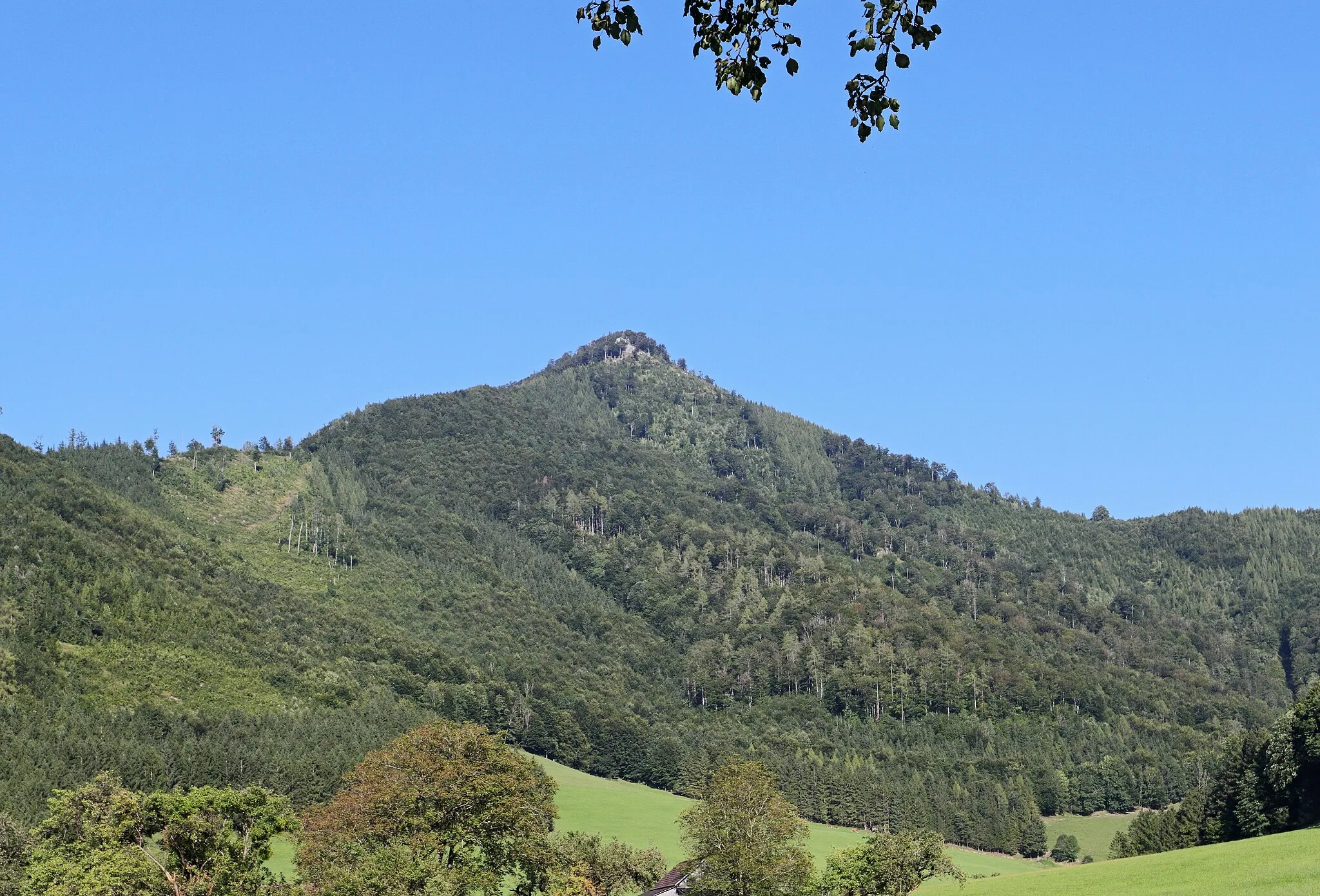 Photo showing: Südwestliche Seite des Hohen Trailing (1237 m). Blick aus der Mollner Ramsau