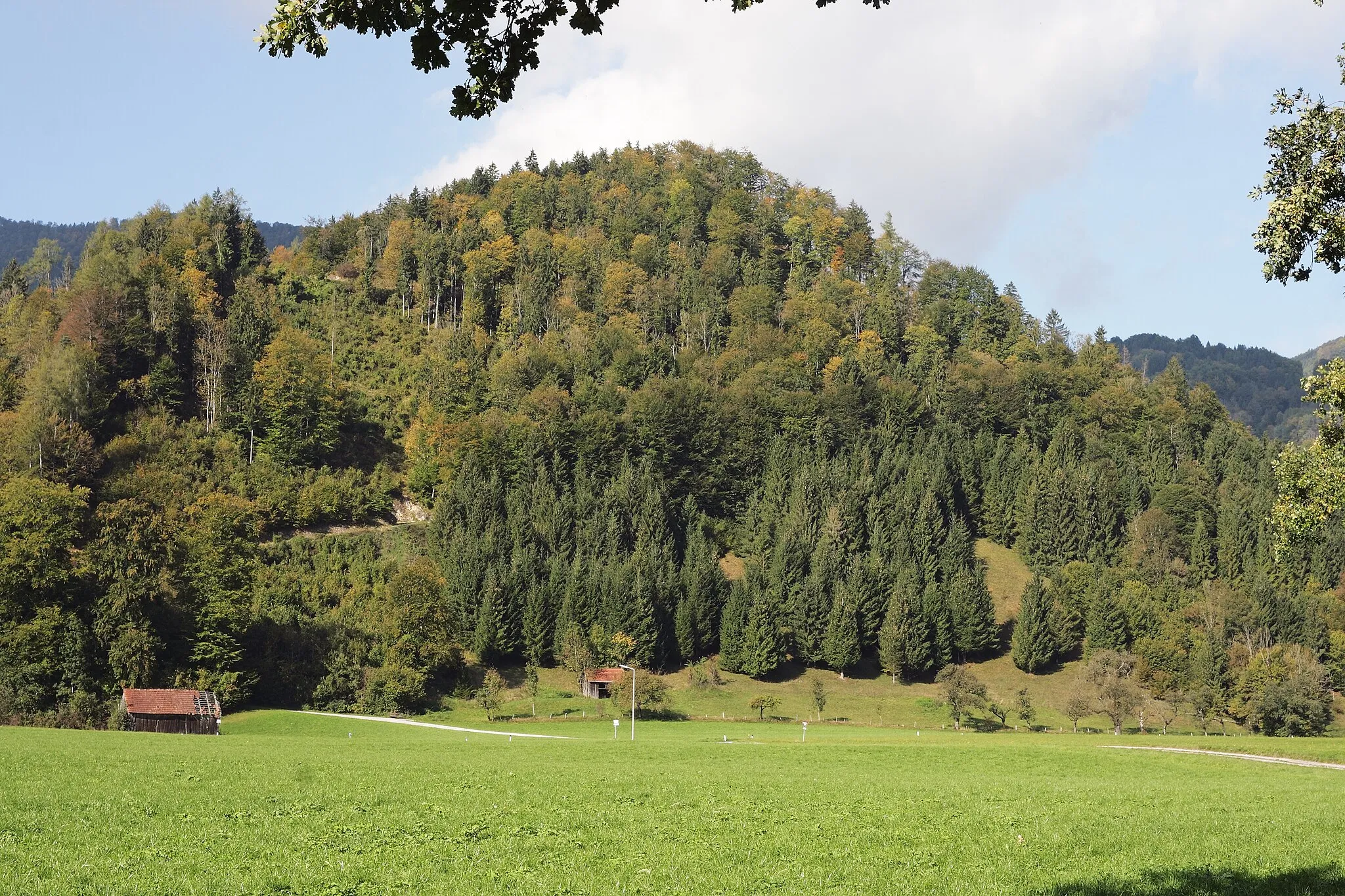 Photo showing: Östliche Seite des Riedbergs in Leonstein, Gemeinde Grünburg