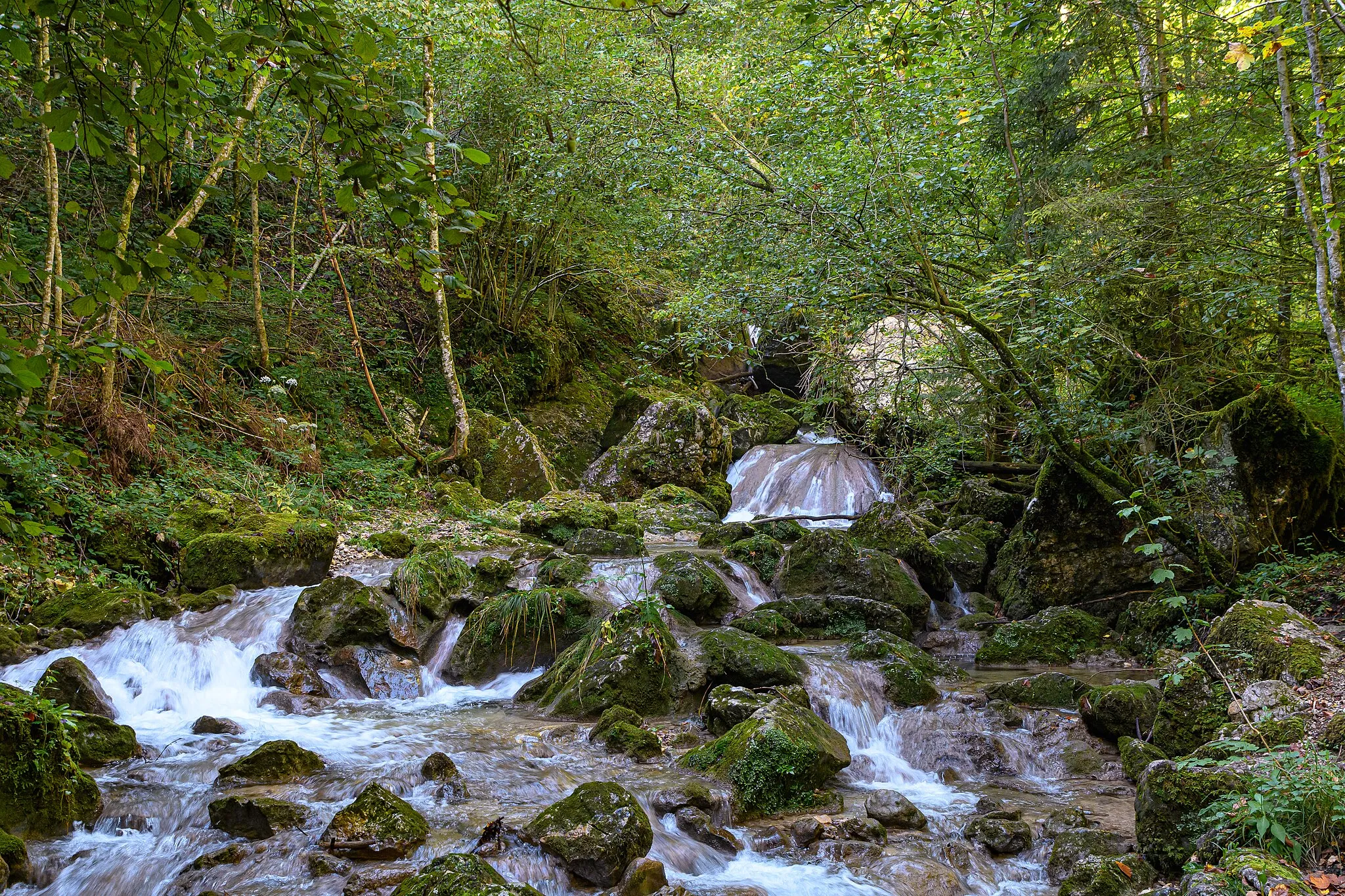 Photo showing: In the lower section of the Rinnerbergerbach the water  flows into the valley in small cascades.