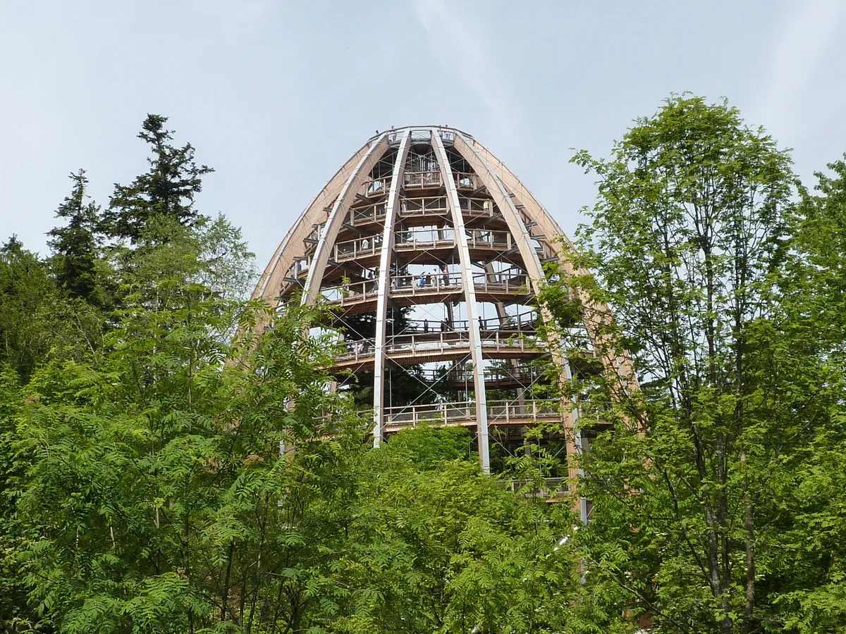 Photo showing: Baumturm (Baumwipfelpfad Neuschönau), Nationalpark Bayerischer Wald – Ich habe das Versteck gefunden...