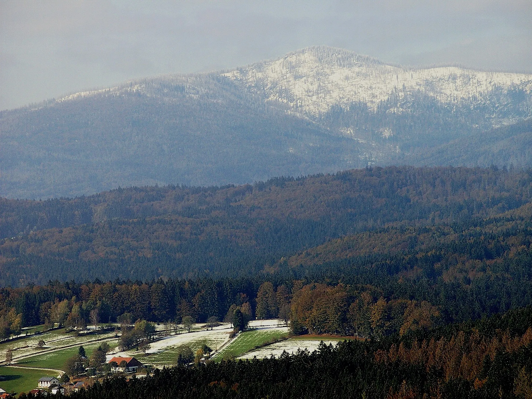 Photo showing: Der, in Schnee gehüllte, Große Rachel (Höhe 1.453 m) vom Baumturm des Baumwipfelpfades in Neuschönau aus gesehen.