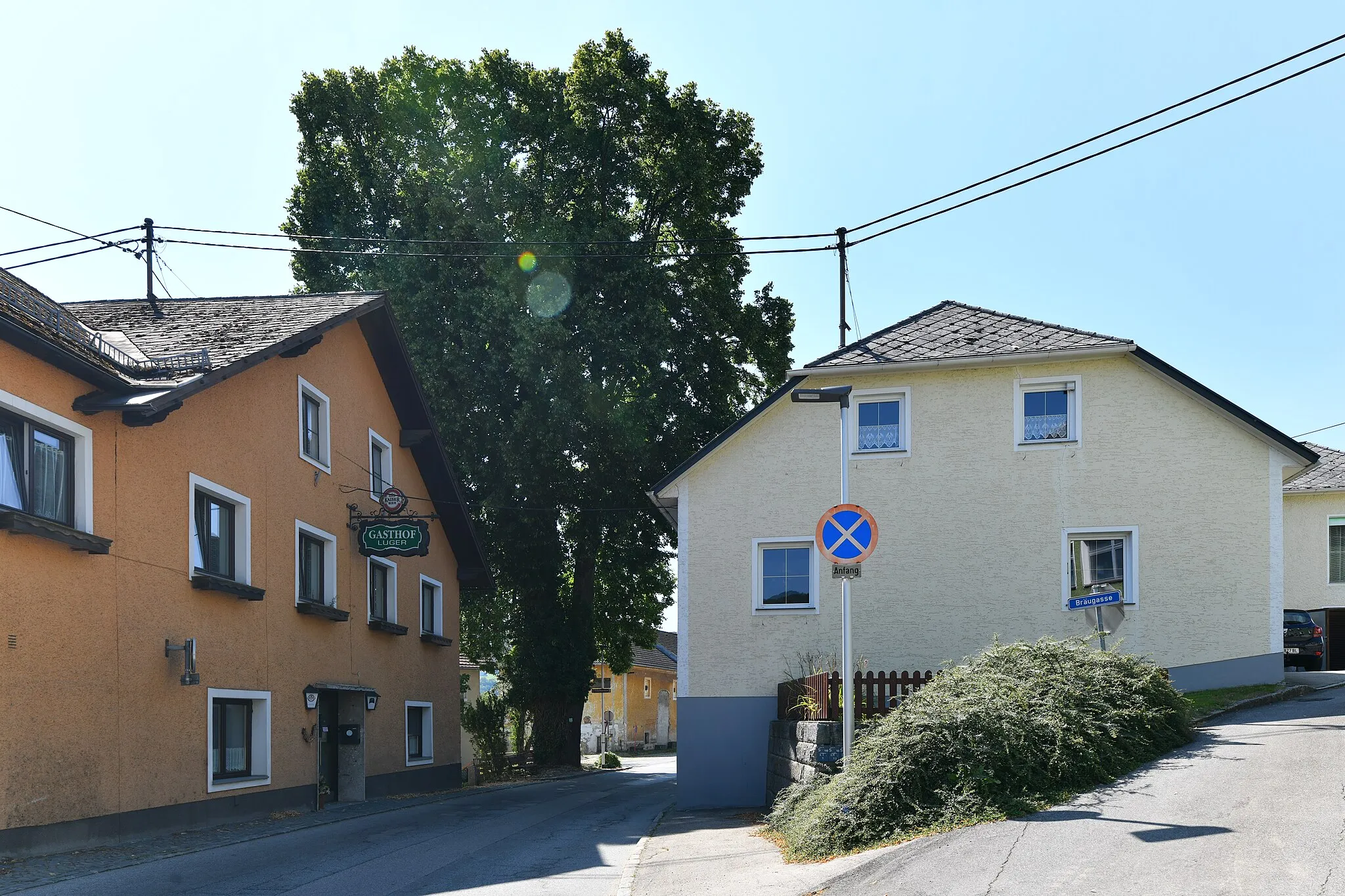 Photo showing: 22.07.2022: Wiki takes Böhmerwald; als Naturdenkmal geschützte Ortslinde in Julbach