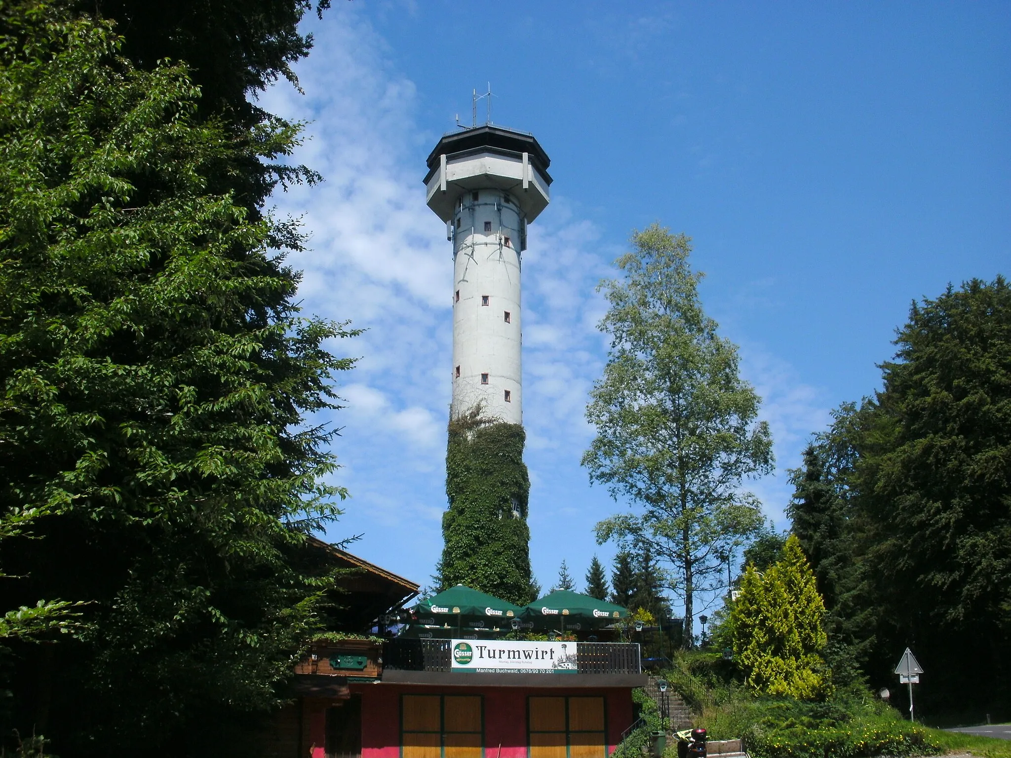Photo showing: Aussichtsturm im Kobernaußerwald in Steiglberg