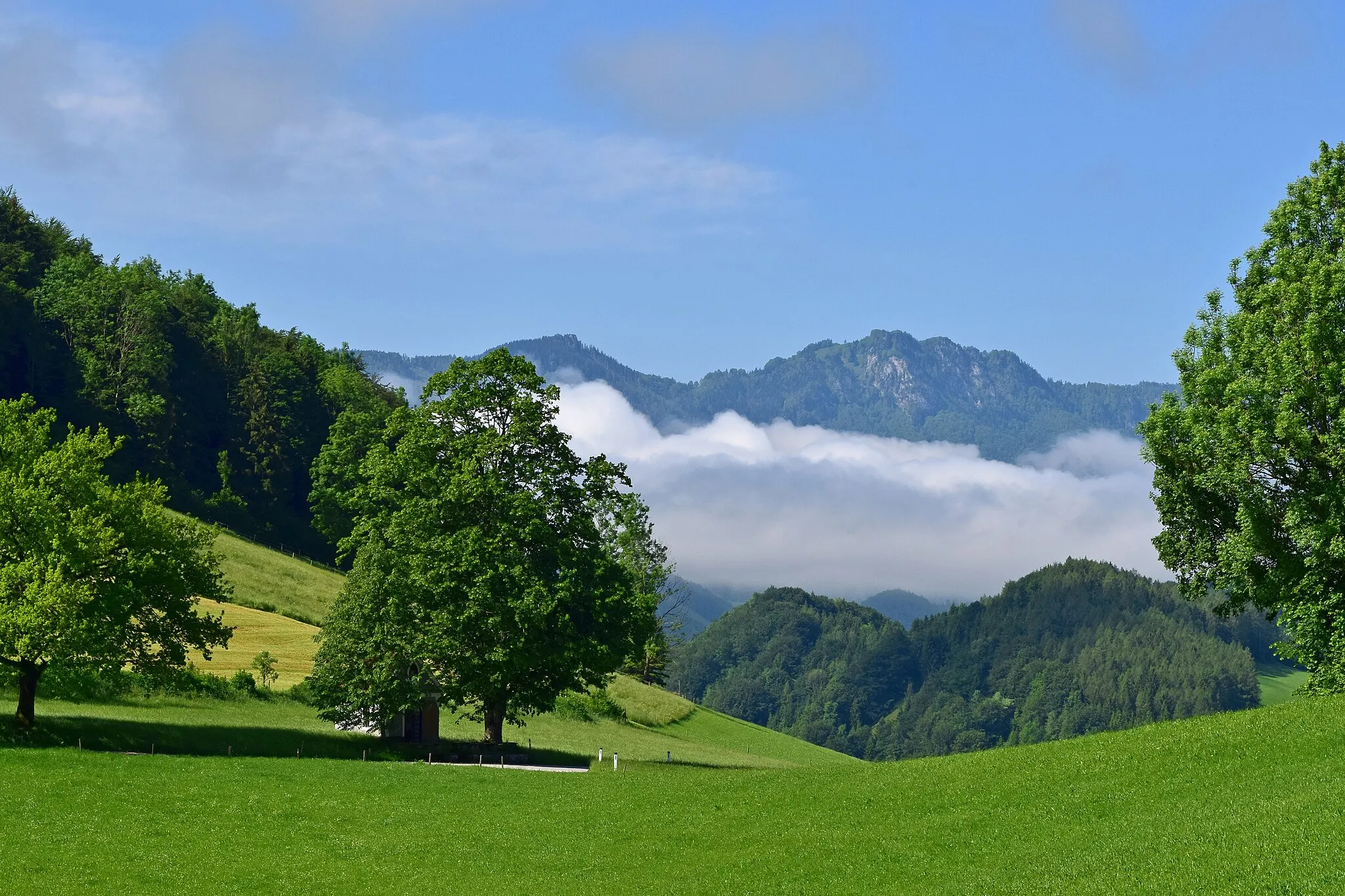 Photo showing: This media shows the natural monument in Upper Austria  with the ID nd629.