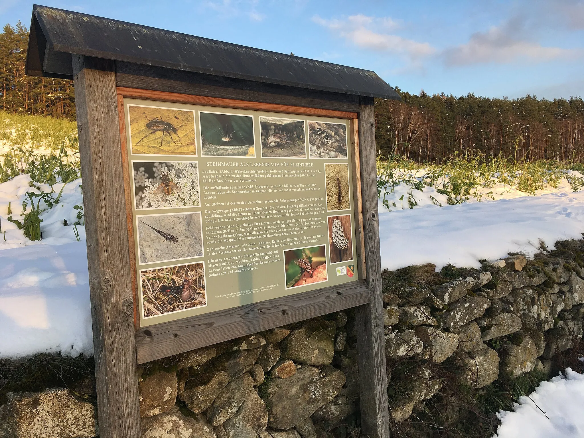 Photo showing: Trockensteinmauer Hadersdorf - Tafel Steinmauer als Lebensraum für Kleintiere