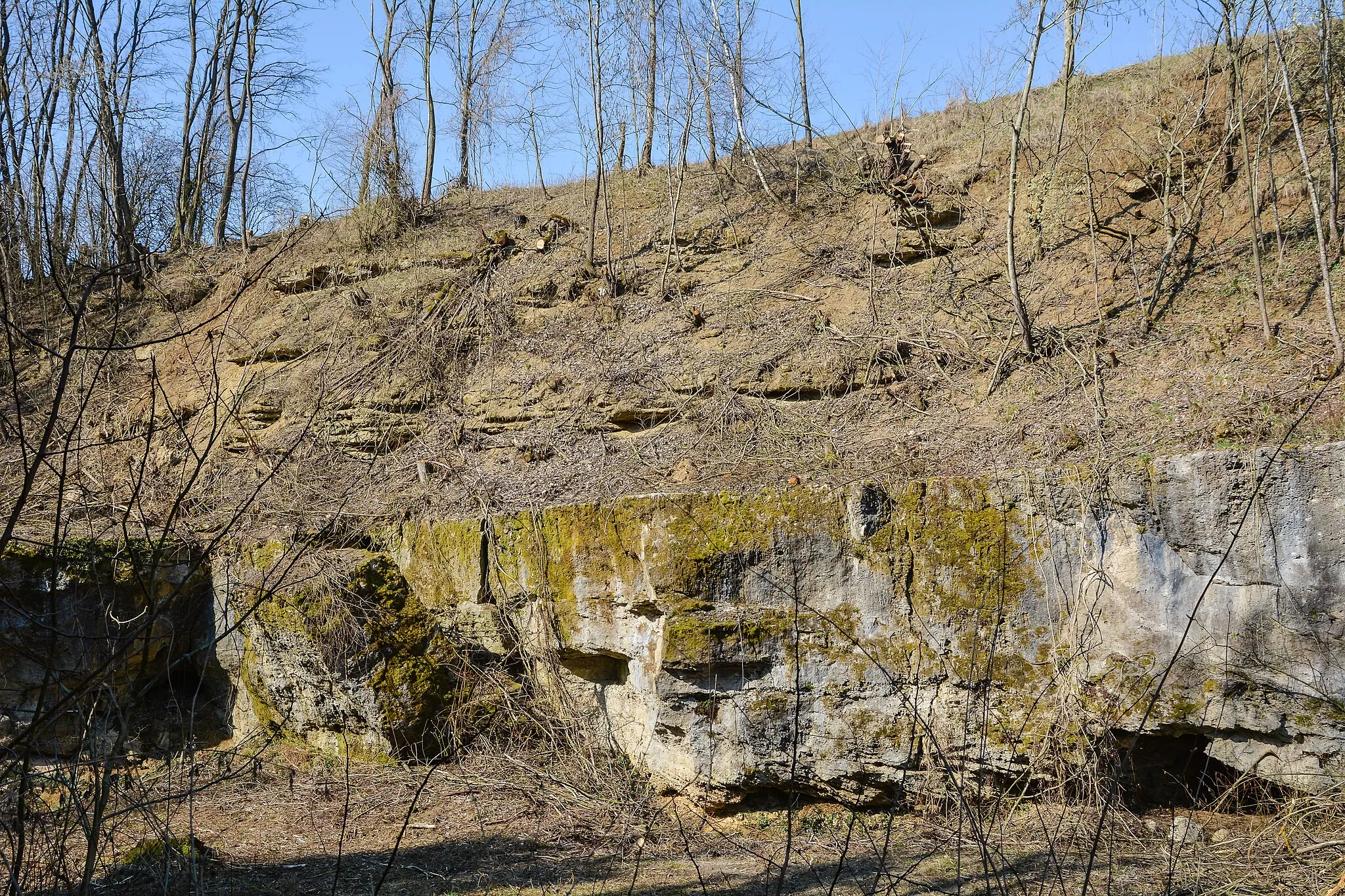 Photo showing: This media shows the natural monument in Upper Austria with the ID nd313 (Steinbruch Wolfgangstein).