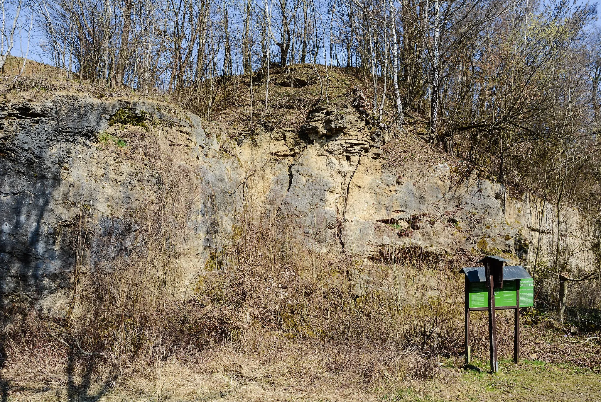 Photo showing: This media shows the natural monument in Upper Austria with the ID nd313 (Steinbruch Wolfgangstein).