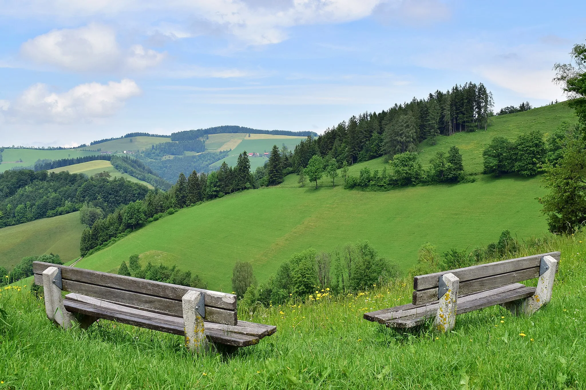 Photo showing: Rastplatz unterhalb des Naturdenkmals Sauzähne (nicht im Bild).