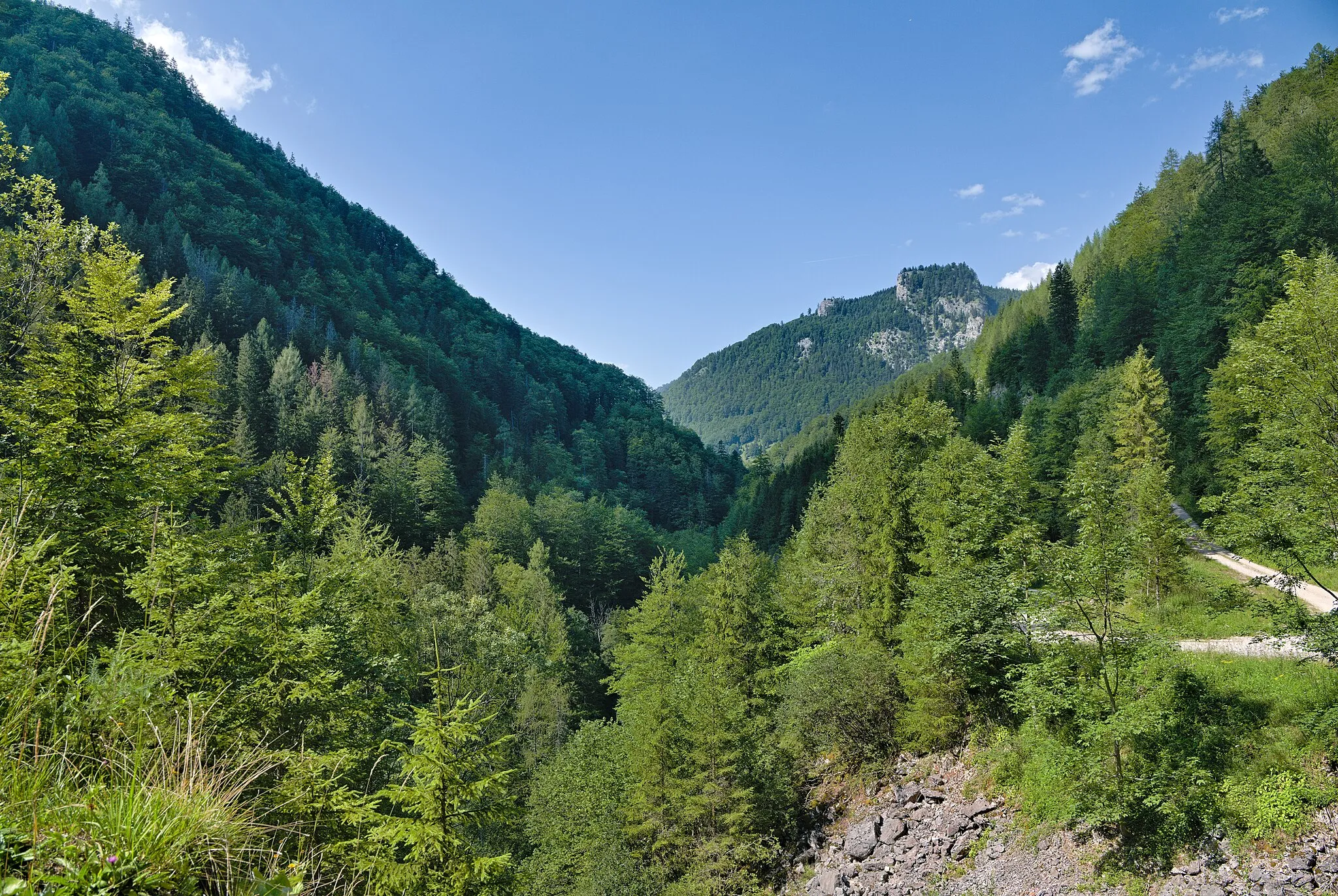 Photo showing: Rotwagmauer in the UNESCO natural world heritage site Ancient and Primeval Beech Forests of the Carpathians and Other Regions of Europe site Kalkalpen - Bodinggraben in the Kalkalpen national park.