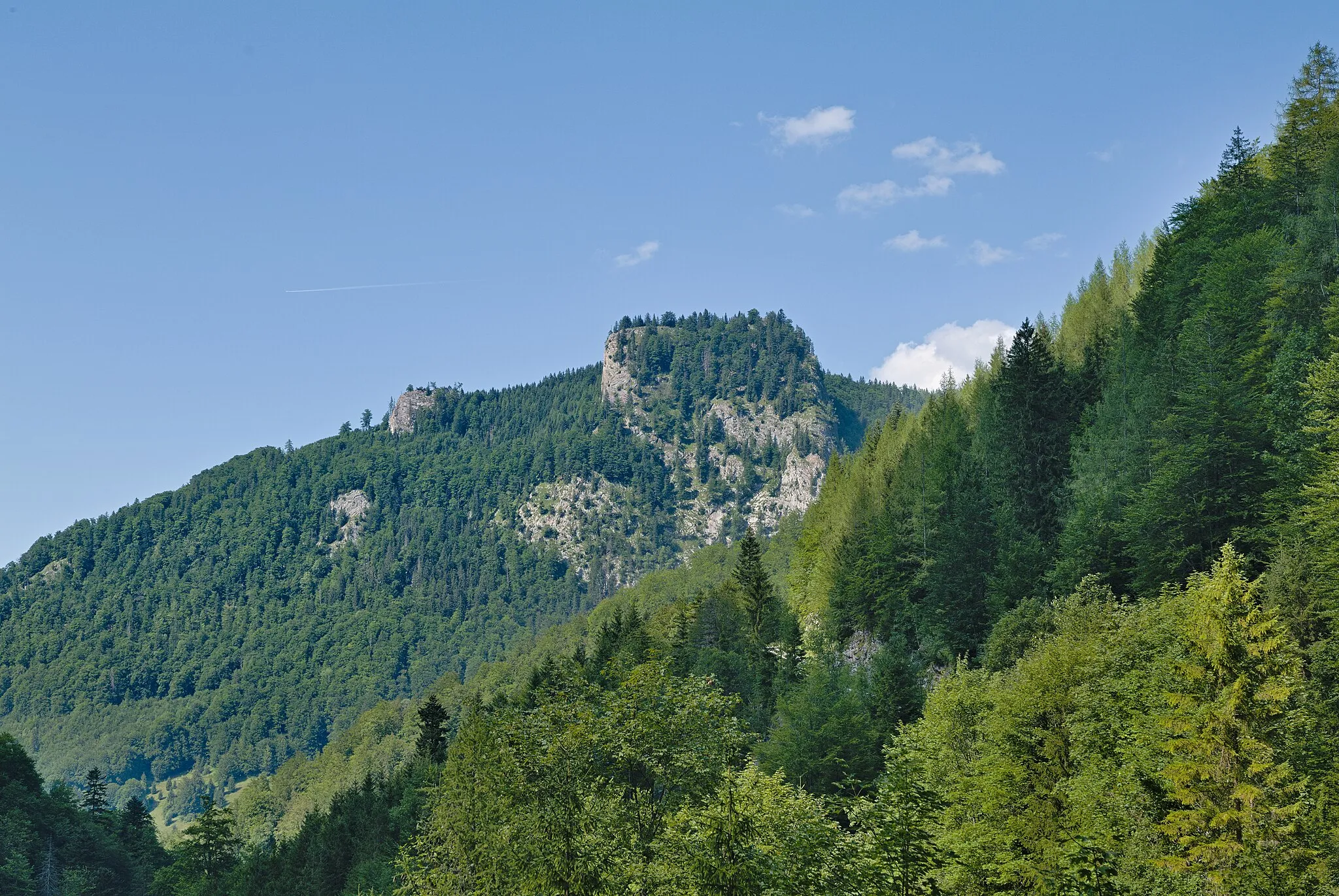 Photo showing: Rotwagmauer in the UNESCO natural world heritage site Ancient and Primeval Beech Forests of the Carpathians and Other Regions of Europe site Kalkalpen - Bodinggraben in the Kalkalpen national park.