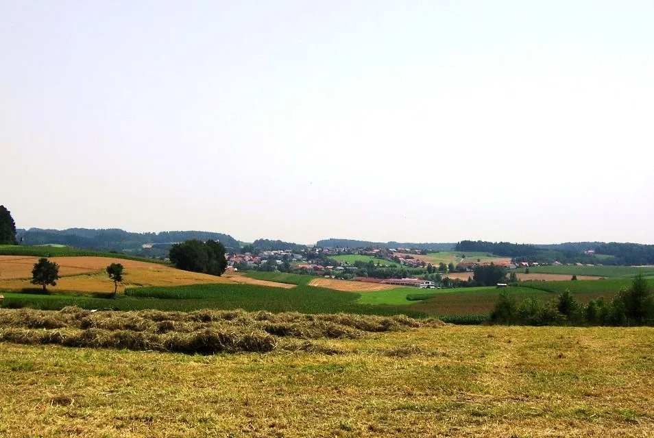 Photo showing: Blick von Sauersberg aus