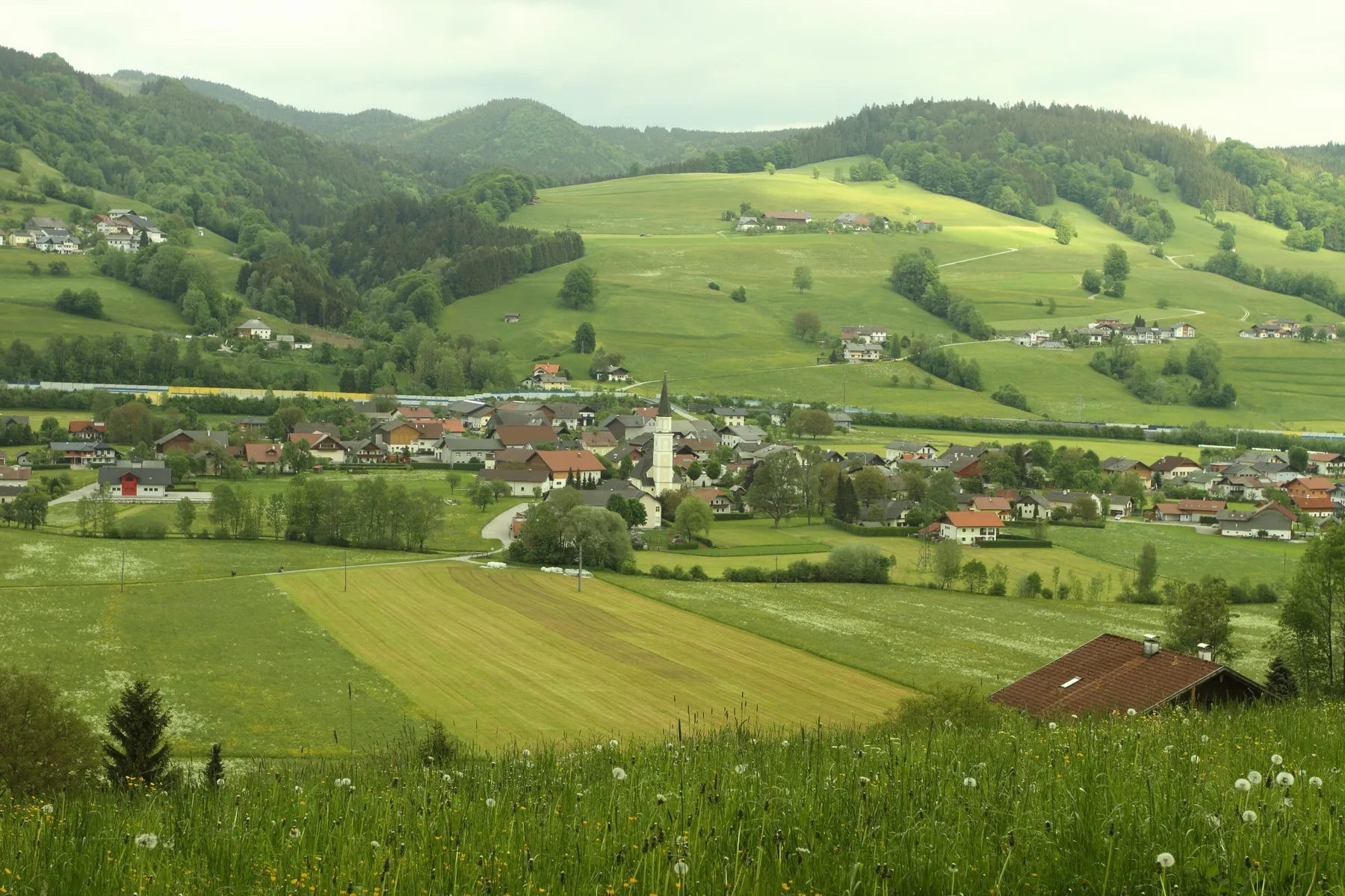 Photo showing: Oberwang im Frühling