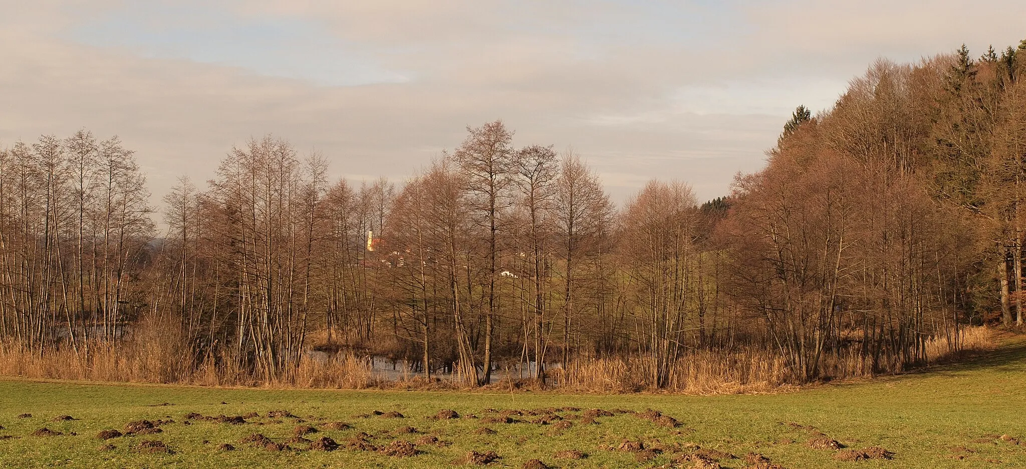 Photo showing: Pippmannsberg, Weiher in Oberhaslach