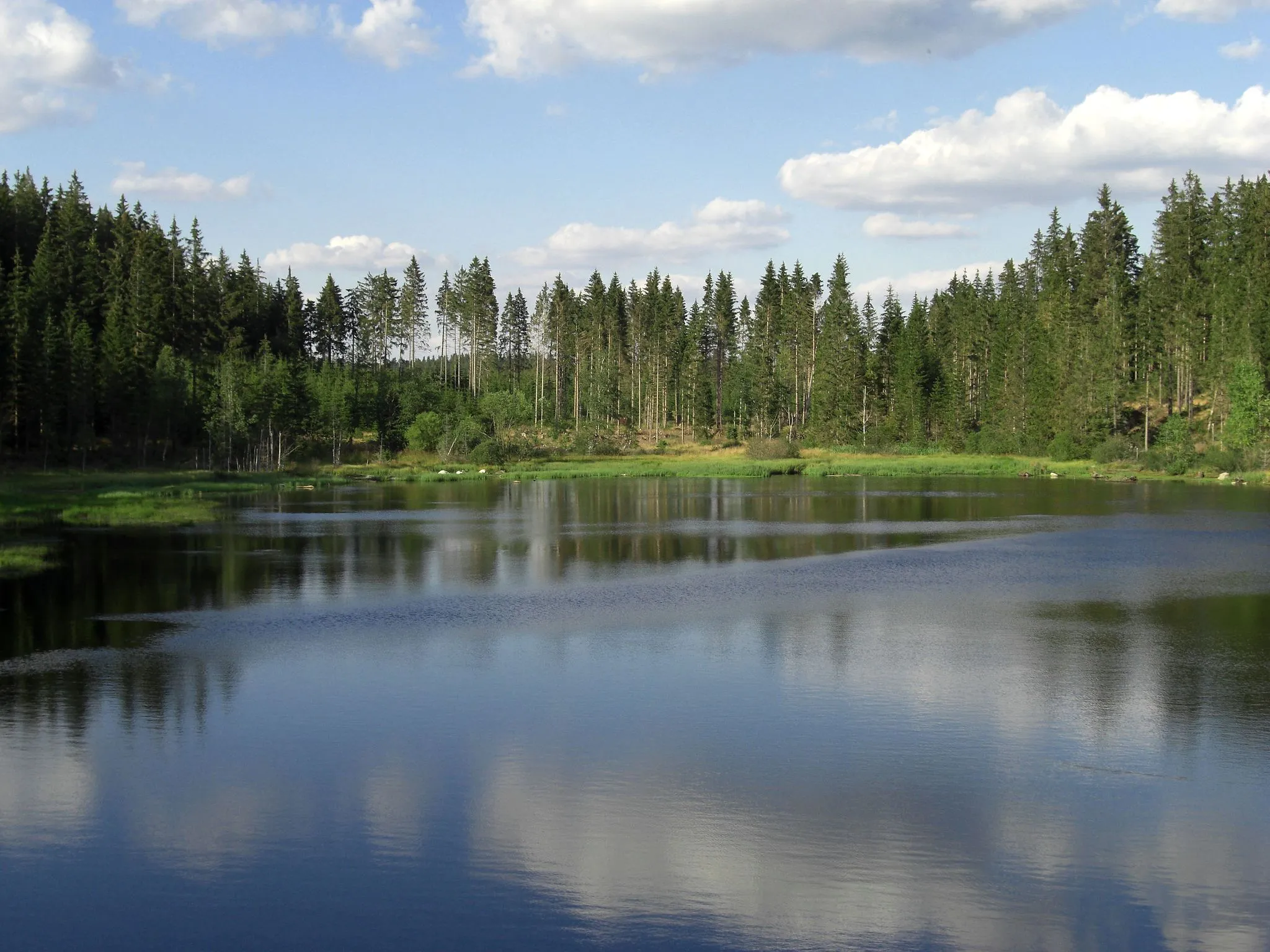 Photo showing: Rubener Teich in the bog "Tanner Moor" near Liebenau, Upper Austria