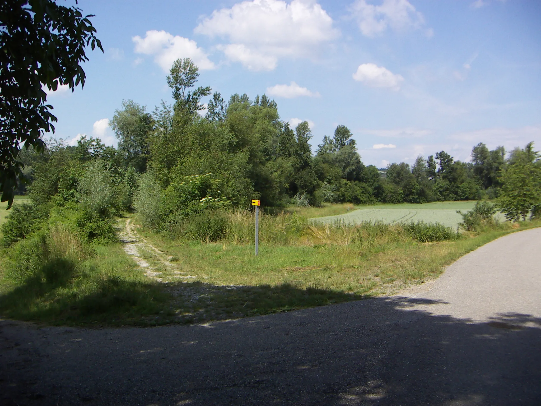 Photo showing: Teile der Bahntrasse, Schleppbahn Normalspur