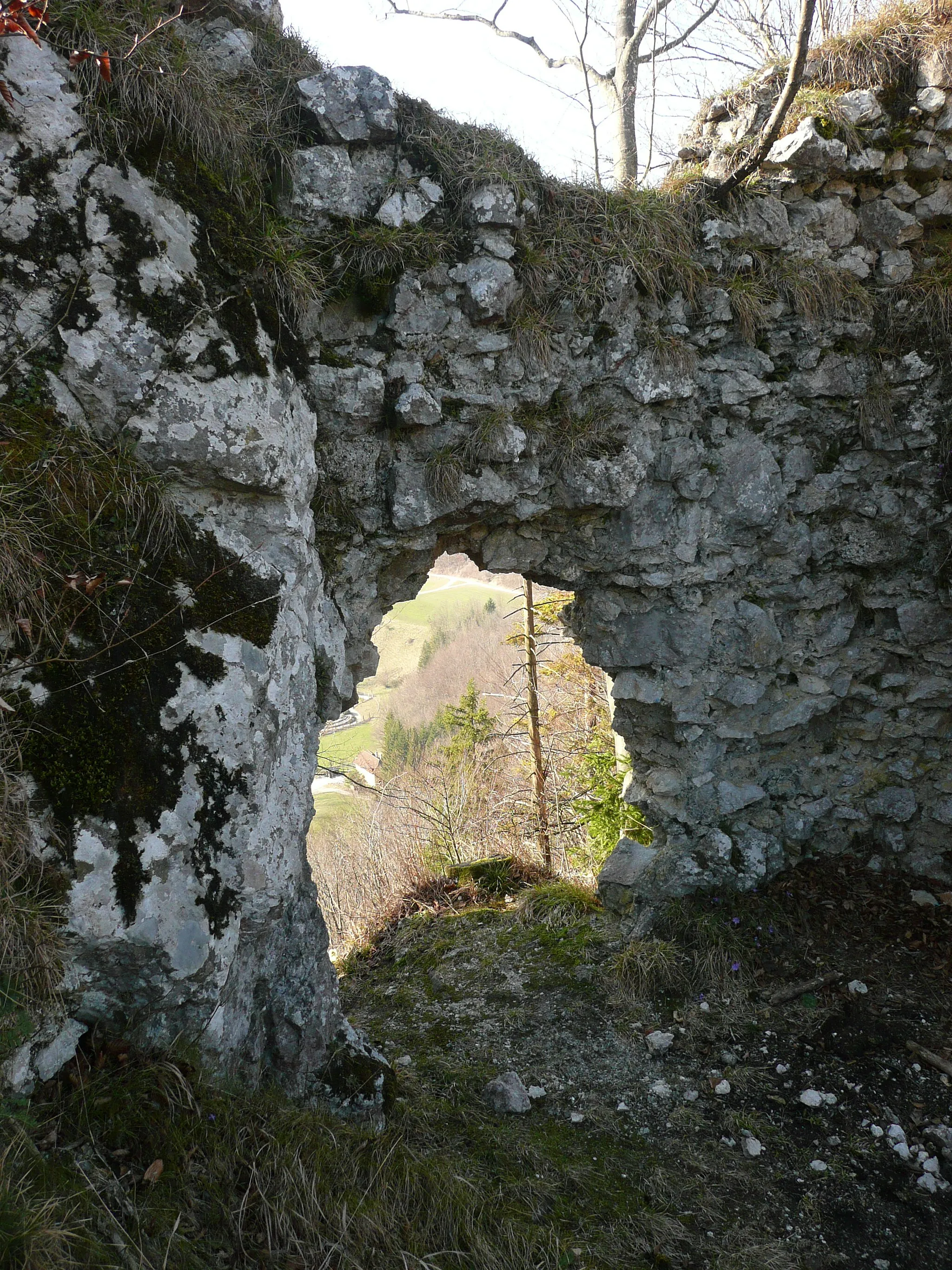 Photo showing: Der einzige noch erhaltene größere Mauerrest der Burg Ruine Leonstein