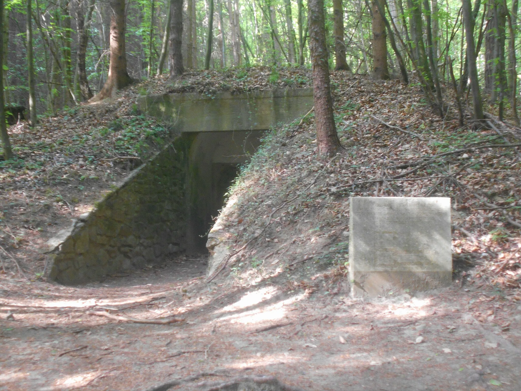 Photo showing: Hügelgrab Bei den Drei Wassern, "Römergrab", norisch-pannonisches Hügelgrab aus römischer Zeit, an der Gemeindegrenze von Sieghartskirchen (KG Kronstein) zu Pressbaum (KG Au am Kraking) gelegen