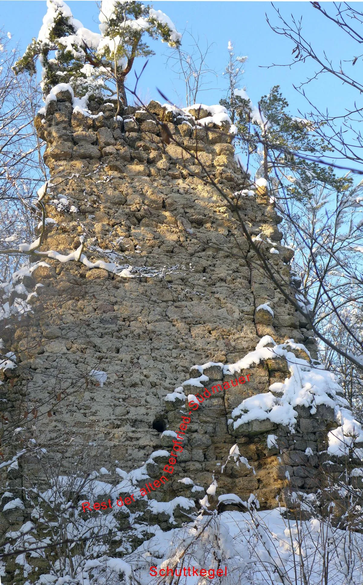 Photo showing: Burgruine Saxenegg im Saxenegger Wald in der Gemeinde Sankt Thomas am Blasenstein (andere Schreibweise St. Thomas am Blasenstein, St. Thomas a. Bl.) in Oberösterreich (Austria). Foto Jänner 2021. Nach Erkenntnissen von Alfred Höllhuber waren die alten ost-, nord- und westseitigen Mauern des Bergfrieds bereits frühzeitig abgestürzt oder abgetragen worden. Als Ersatz errichtete man dann nur mehr eine 2,55 m dicke Schutzmauer zur Verstärkung der Bergfried-Südmauer. So entstand eine 3,9 m dicke Doppelmauer in der Art einer Schildmauer, die den weiter südlich anschliessenden Palas beschützte. Der ursprüngliche und hochgelegene Eingang in den Bergfried blieb dabei erhalten und verwendet als rundbogige Sitznische oder Ähnlichem. Die Bergfried-Südmauer samt Sitznische stürzte nach 1980 jedoch in sich zusammen. Erhalten und heute noch sichtbar blieb die 2,55 m dicke und noch immer mächtige Schutzmauer (Verstärkungsmauer). Nur niedere Reste und ein Schuttkegel erhielten sich noch von der Bergfried-Südmauer. Die Position des alten Bergfriedeingangs bzw. der Sitznische kann noch in Mauerfugen erkannt werden.