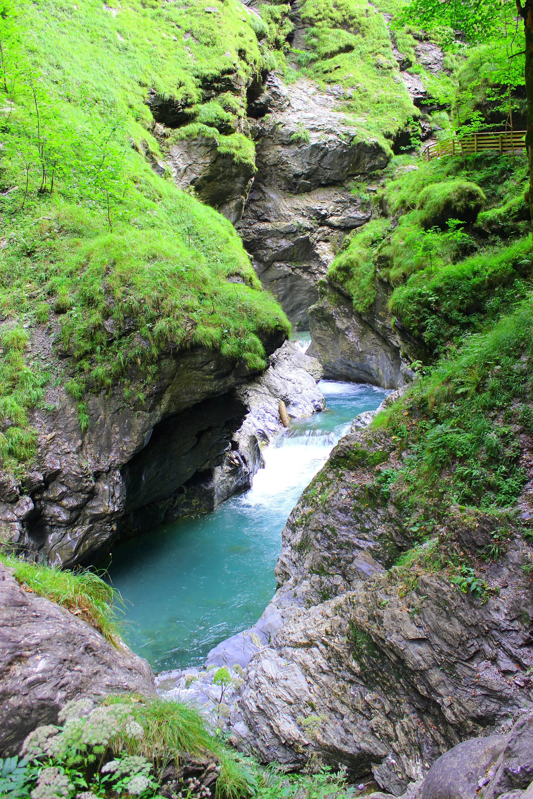 Photo showing: green canyon