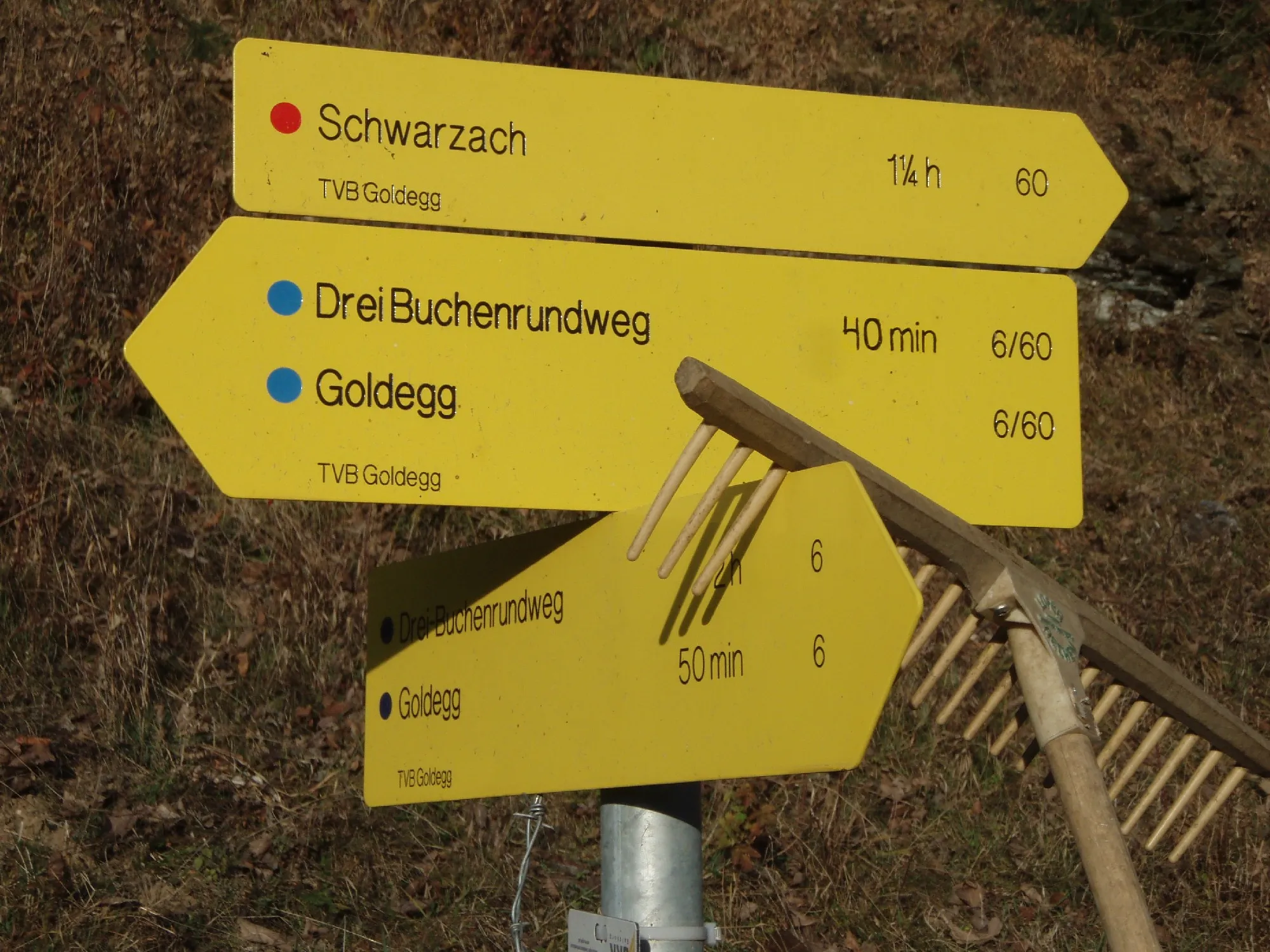 Photo showing: Wanderwegweiser Goldegg am See

OLYMPUS DIGITAL CAMERA