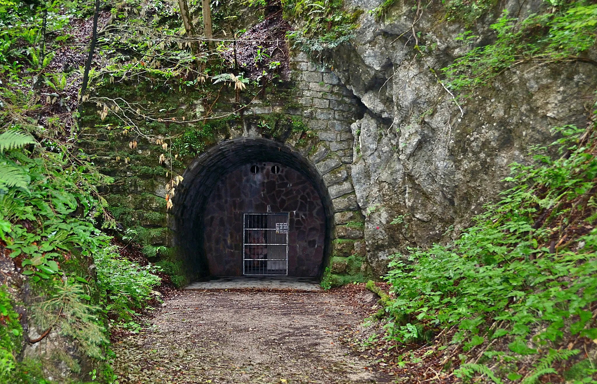 Photo showing: Former Tunnel of the Salzkammergut-Lokalbahn crossing the Scharflinger Höhe between St. Lorenz, Upper Austria and St. Gilgen, Salzburg. Here the northern portal in the municipality of St. Lorenz. Also with the  former track.