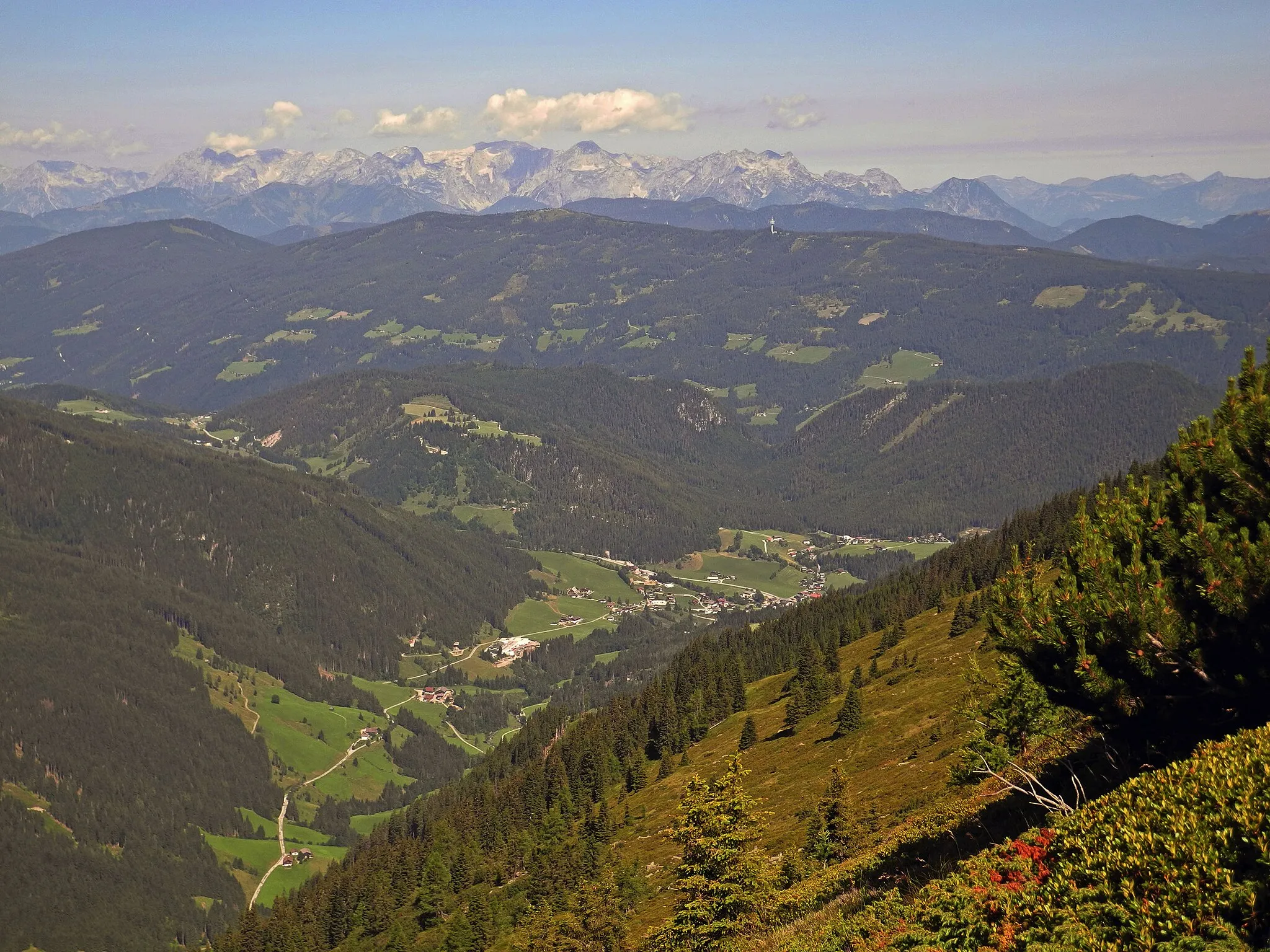 Photo showing: Kammweg auf der Gasselhöhe, Blick zum Rossbrand (1770 m) und nach Forstau