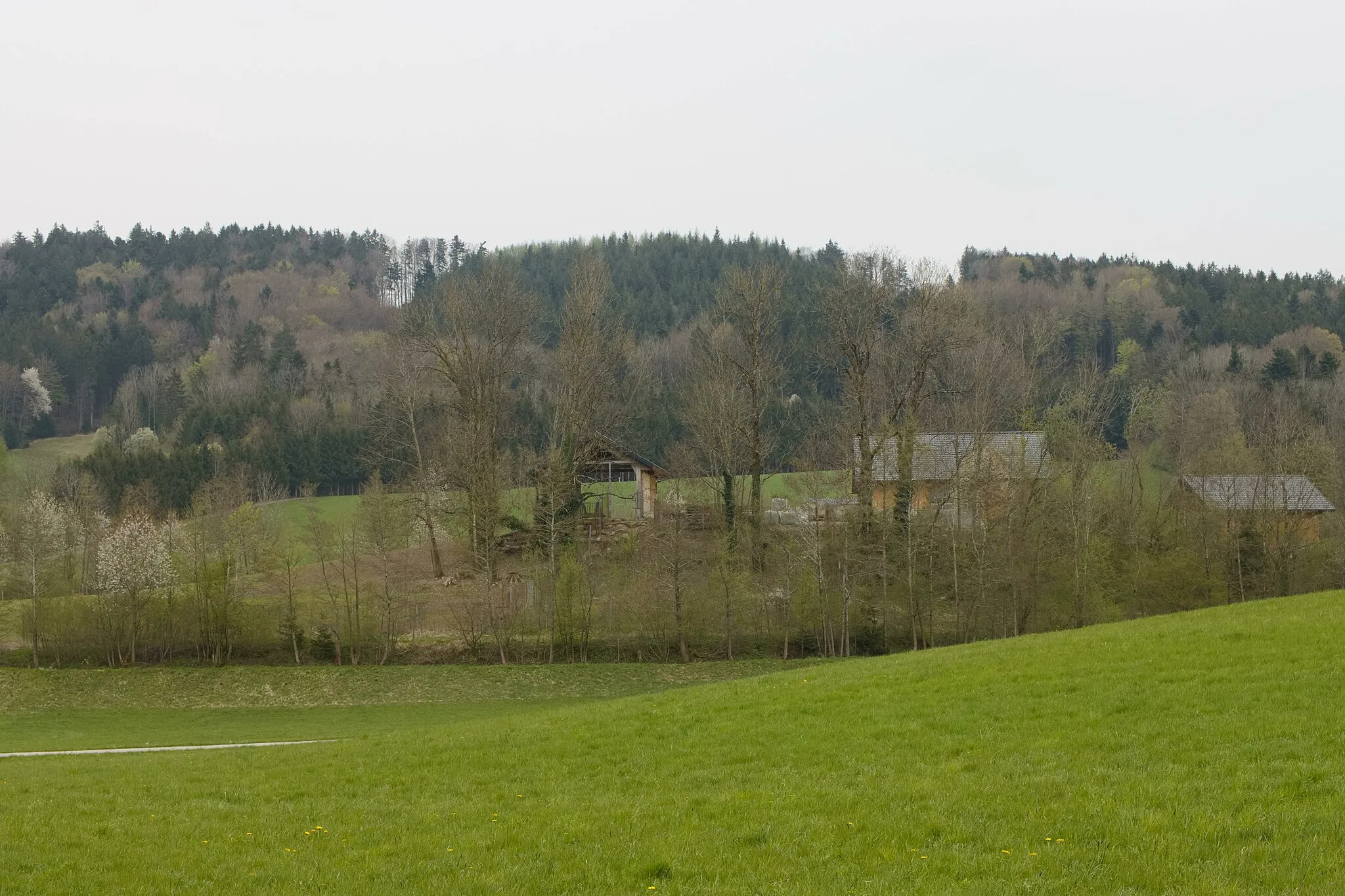 Photo showing: Lochen am See (Bezirk Braunau am Inn): Blick zum Tannberg (Mondseer Flyschberge) bei Reitsham