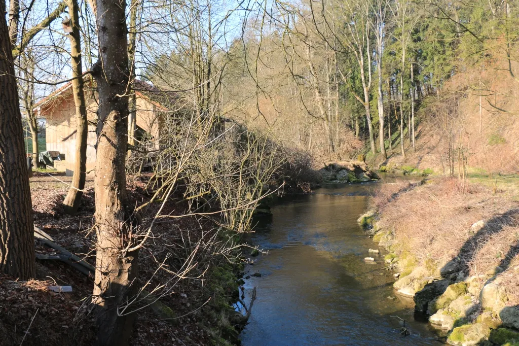 Photo showing: Die Oichten im Bereich des Weilers Dreimühlen (Gemeinde Göming, Bezirk Salzburg-Umgebung) im März