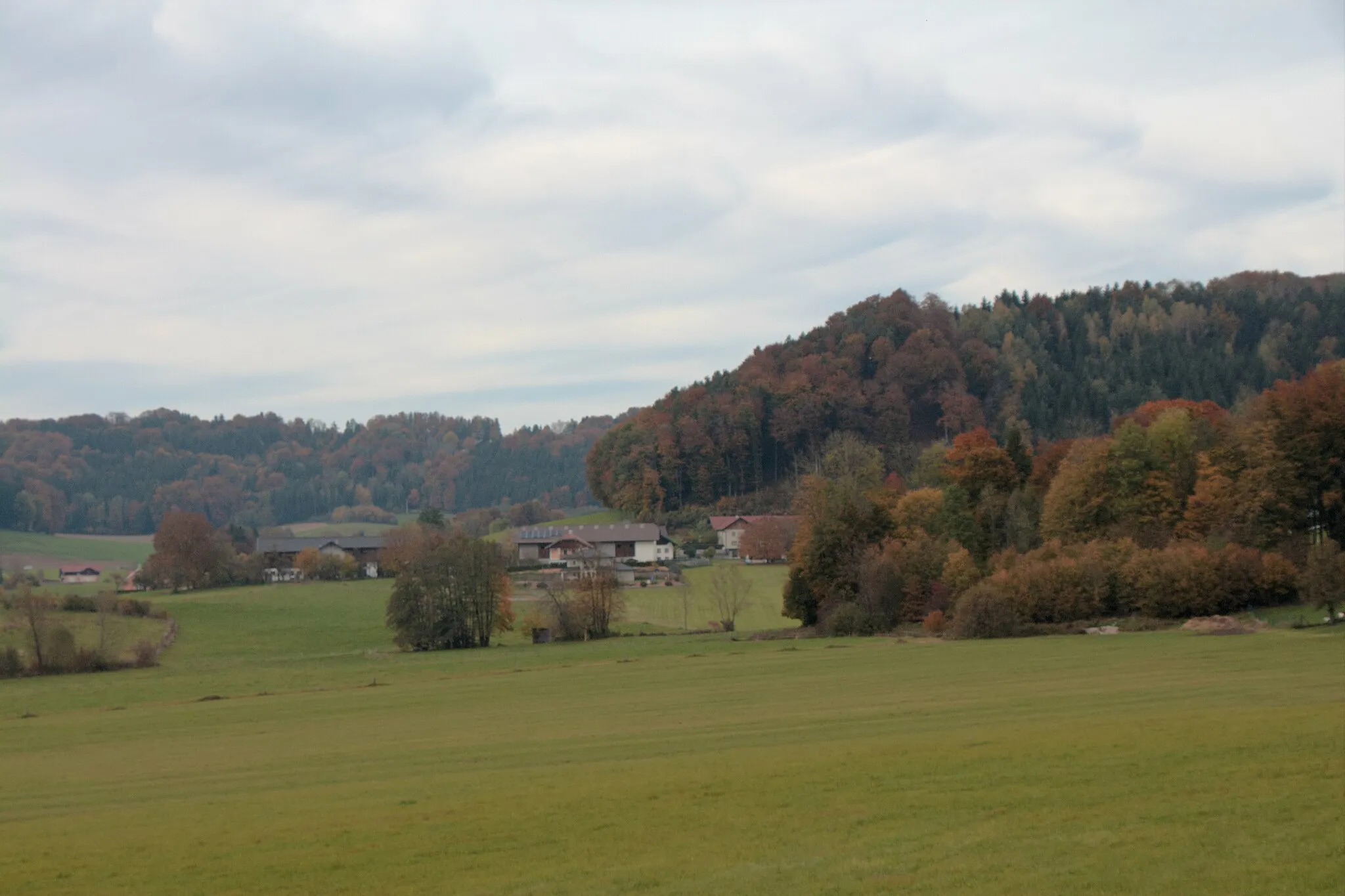 Photo showing: Perwang am Grabensee (Bezirk Braunau am Inn): Motiv bei Gumperding - die Wiese im Vorgerdrud gehört zum Europaschutzgebiet Wiesengebiete und Seen im Alpenvorland