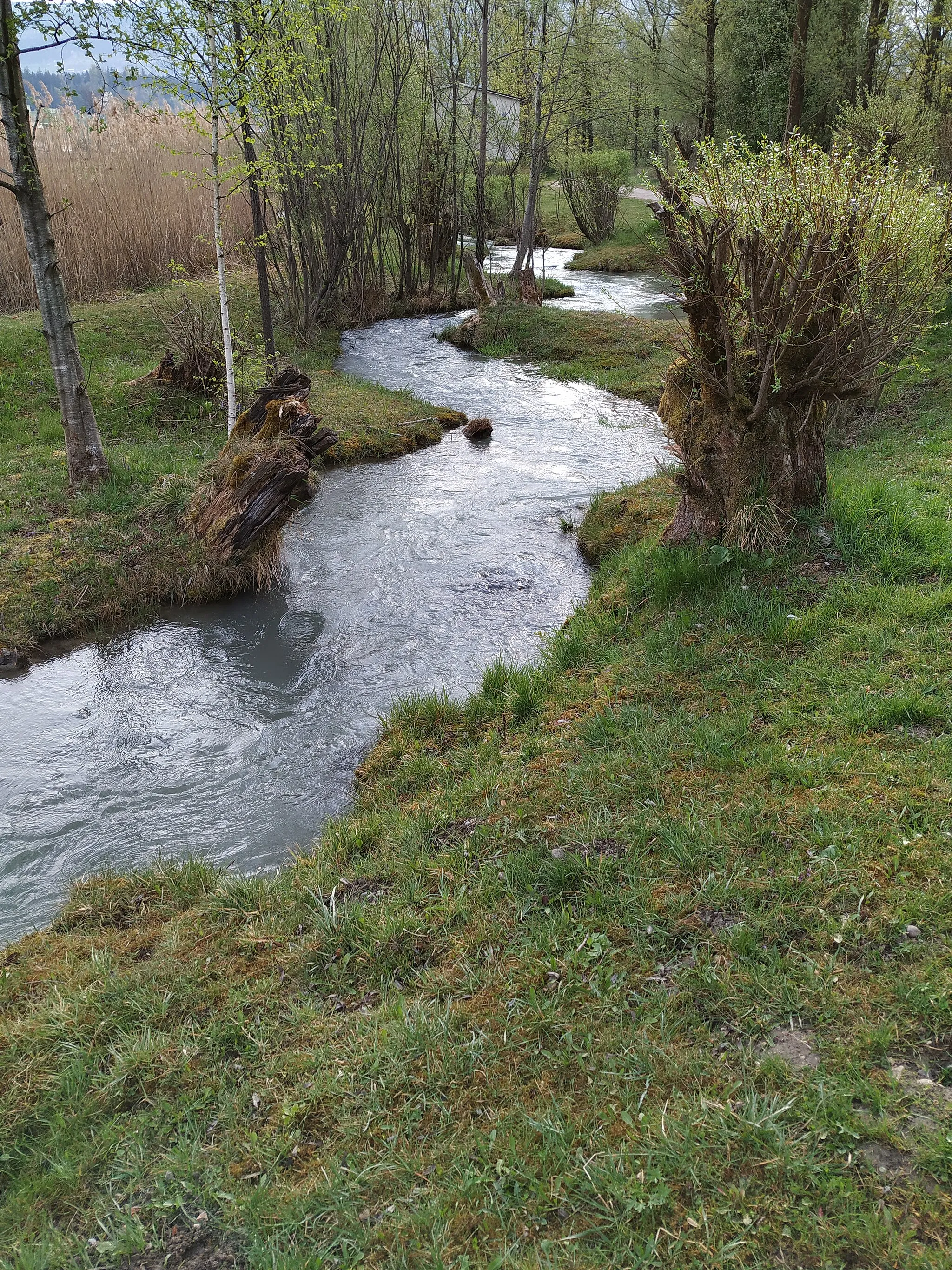 Photo showing: Fischtreppe Wasserkraftwerk Gamp Hallein