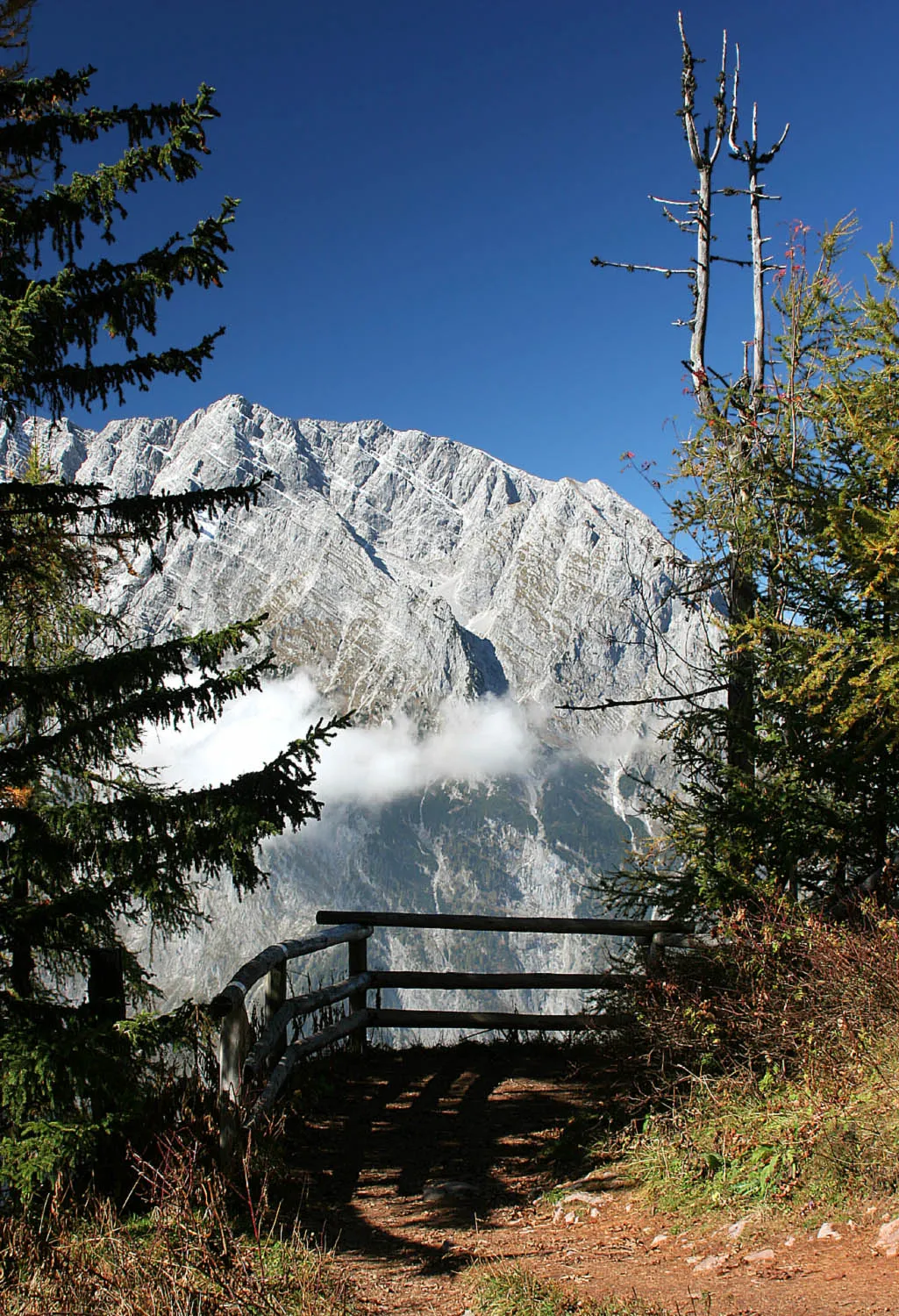 Photo showing: View from Feuerpalven onto Watzmann