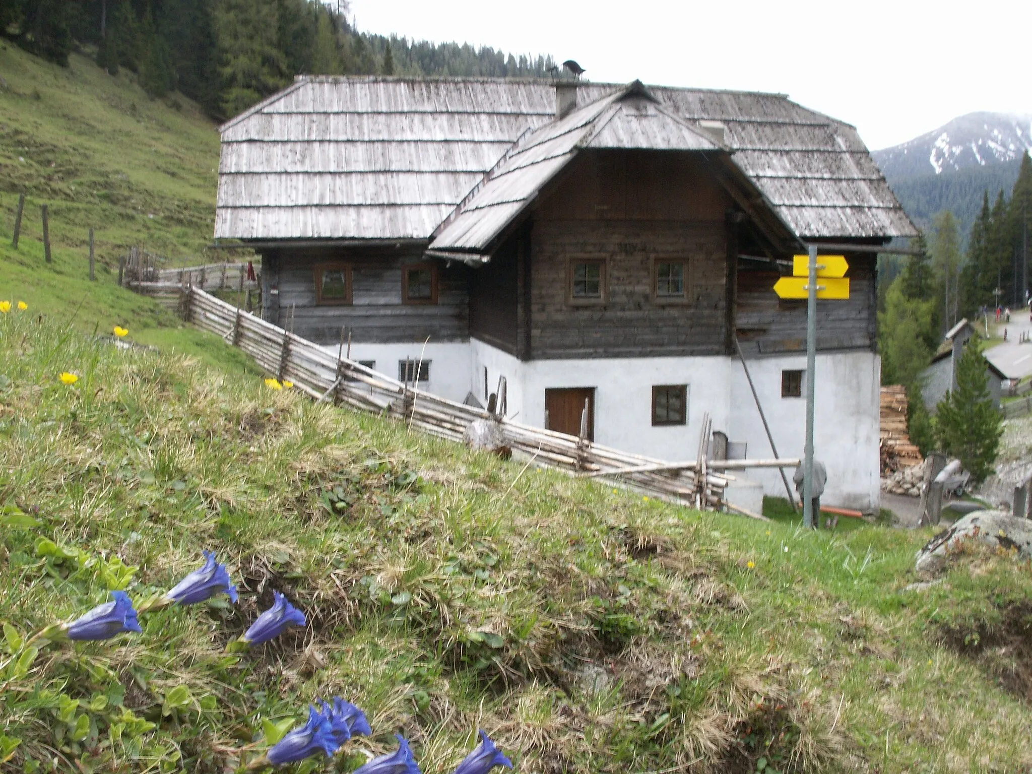 Photo showing: Alpine pasture, an old farmers spa still in use near Innerkrems in the Nockberge mountain range, district Spittal an der Drau / Carinthia / Austria / EU. Seen from north. Blue Gentian in the foreground.