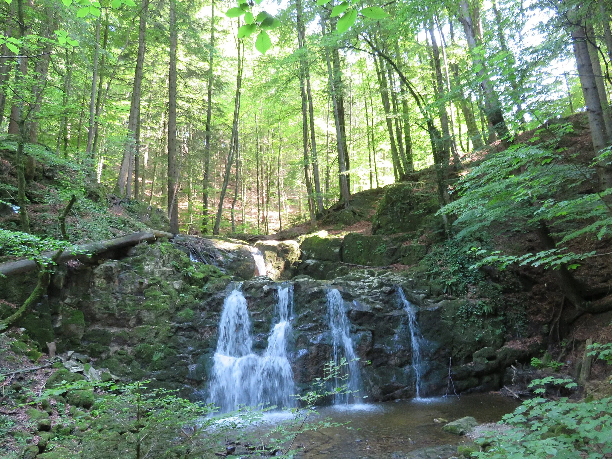 Photo showing: This media shows the natural monument in Salzburg  with the ID NDM00144.