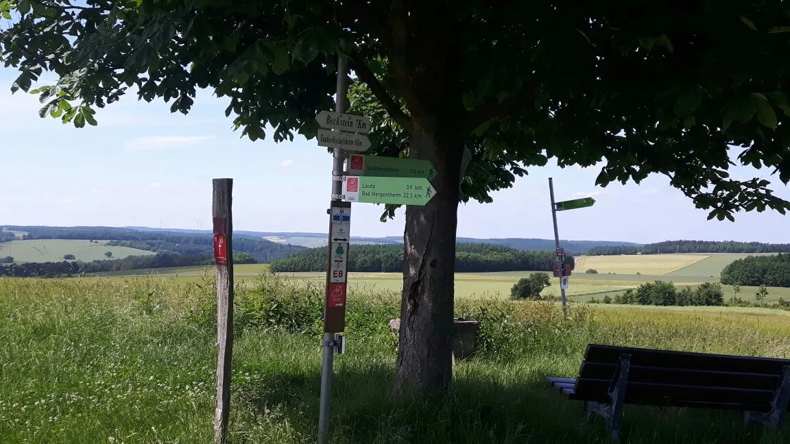 Photo showing: Kastanienbaum beim Wetterkreuz (Tauberbischofsheim)