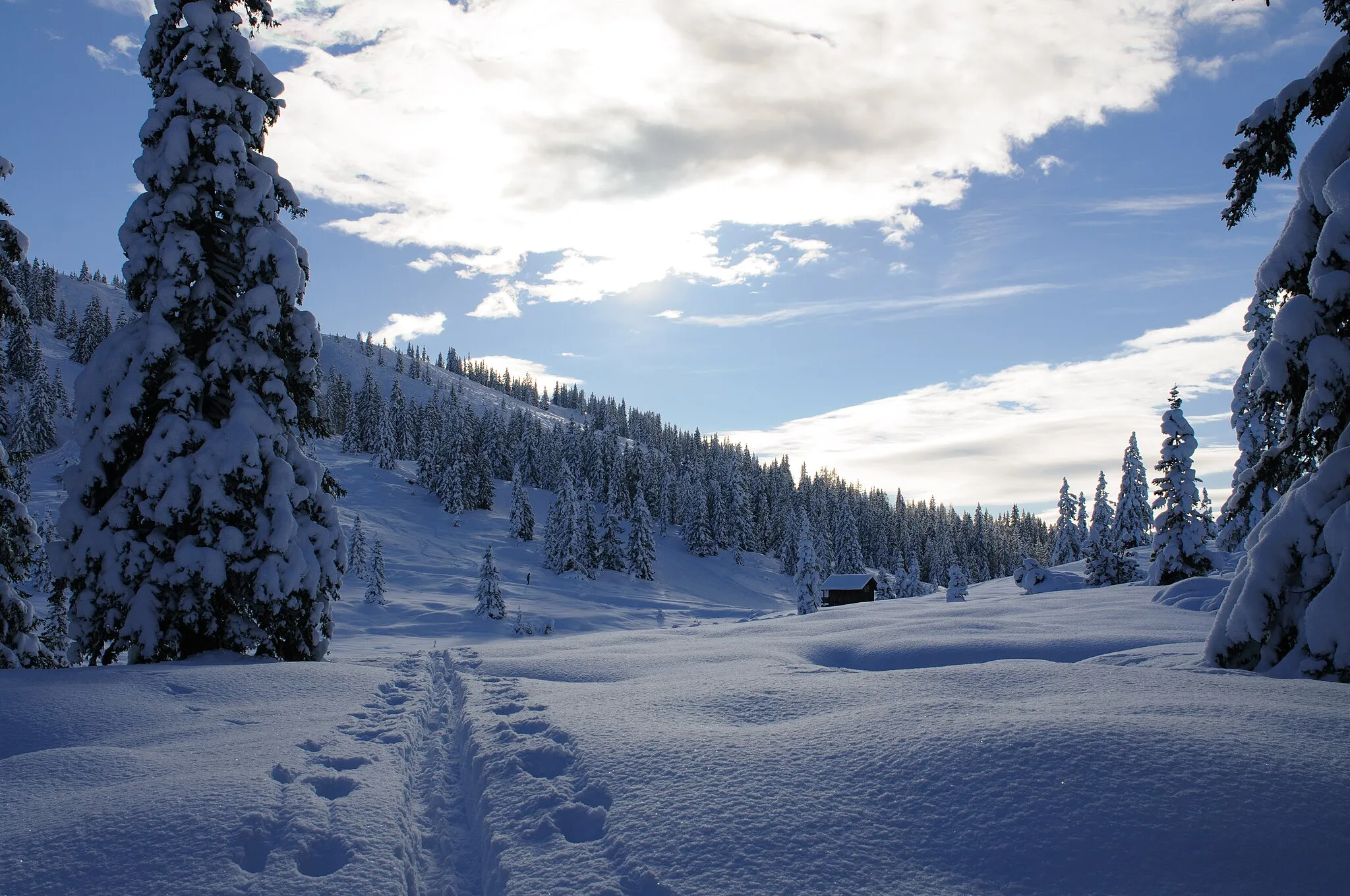 Photo showing: Am Weg zum Hochkeil