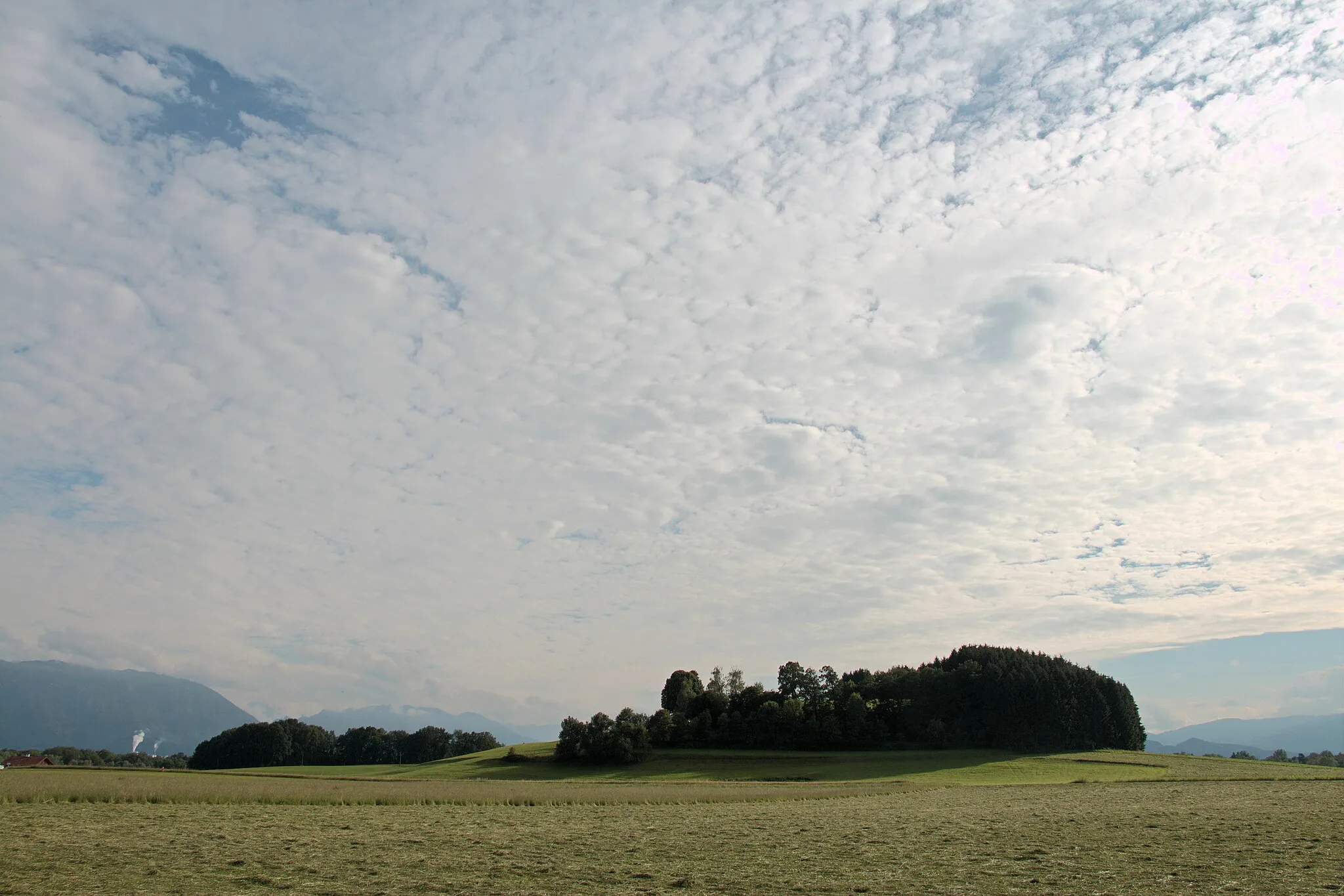 Photo showing: Bergheim (Bezirk Salzburg-Umgebung): der Muntigler Hügel in der Ortschaft Muntigl