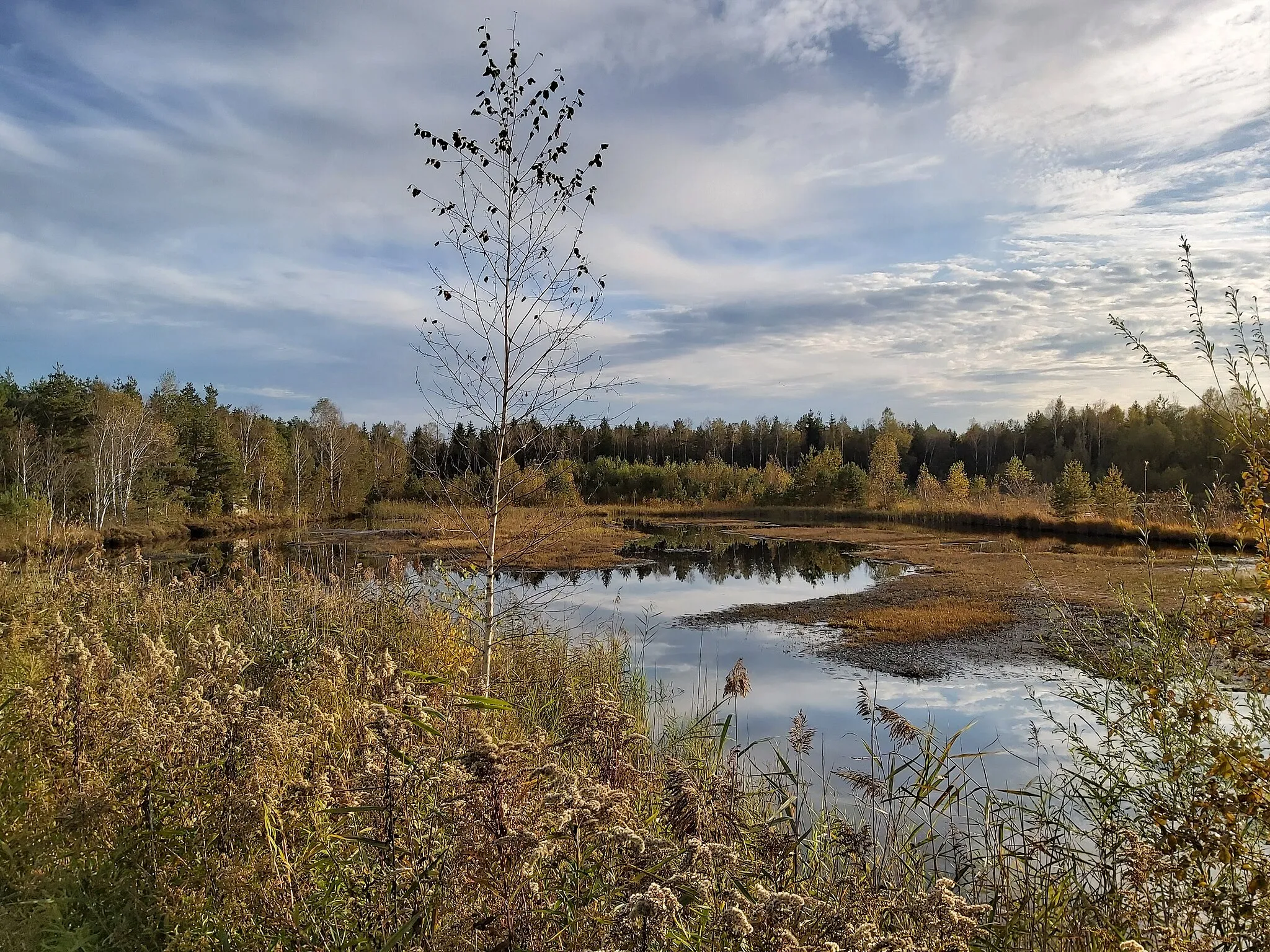 Photo showing: Lamprechtshausen (Bezirk Salzburg-Umgebung): im Naturschutzgebiet Weidmoos im Oktober